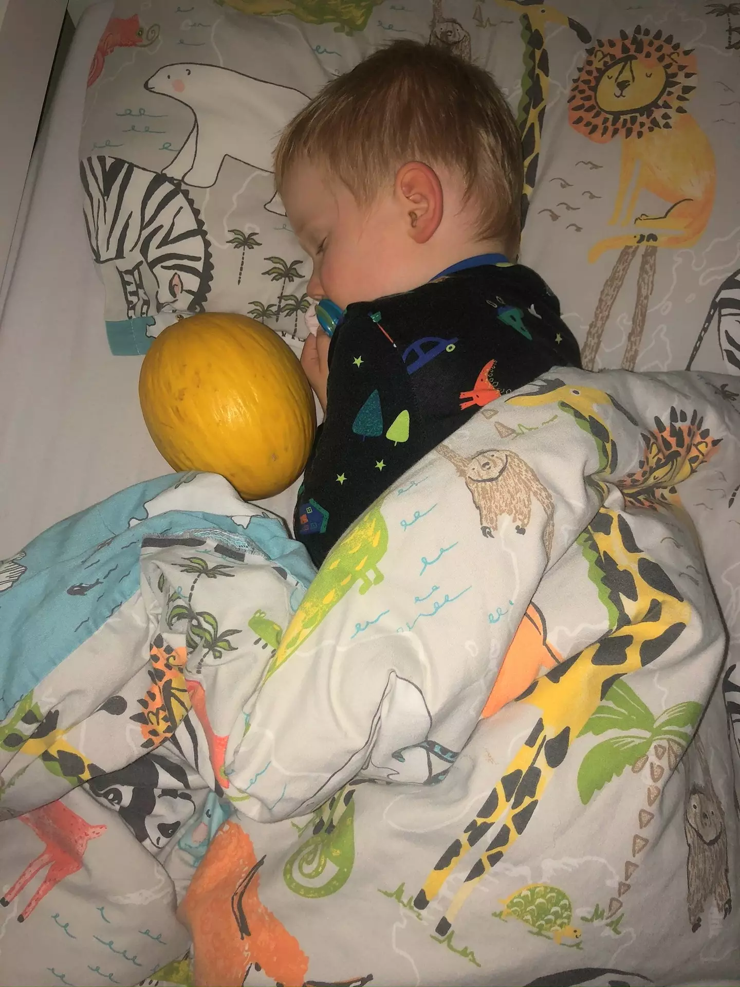 Claire let Jamie sleep with the melon in his bed (