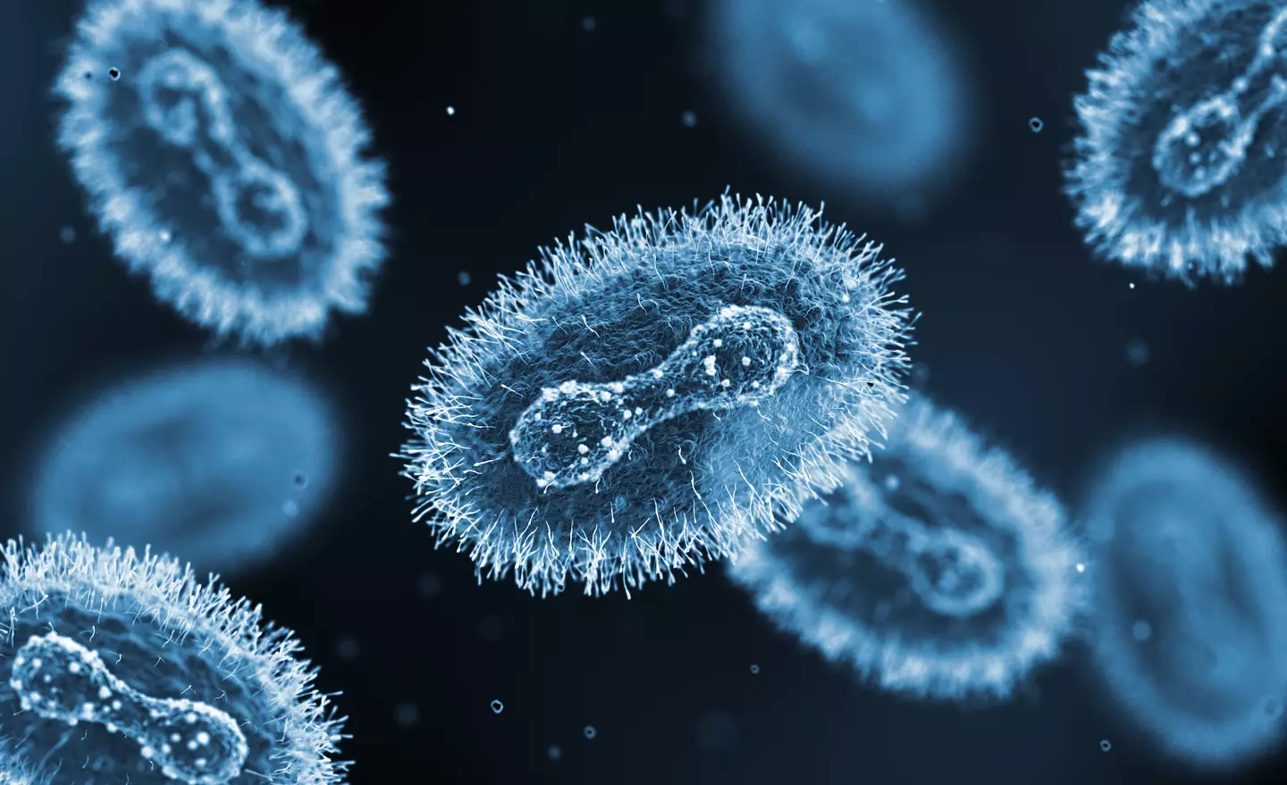 The latest strain is a 'new recombinant mpox virus' (Getty Stock Image)