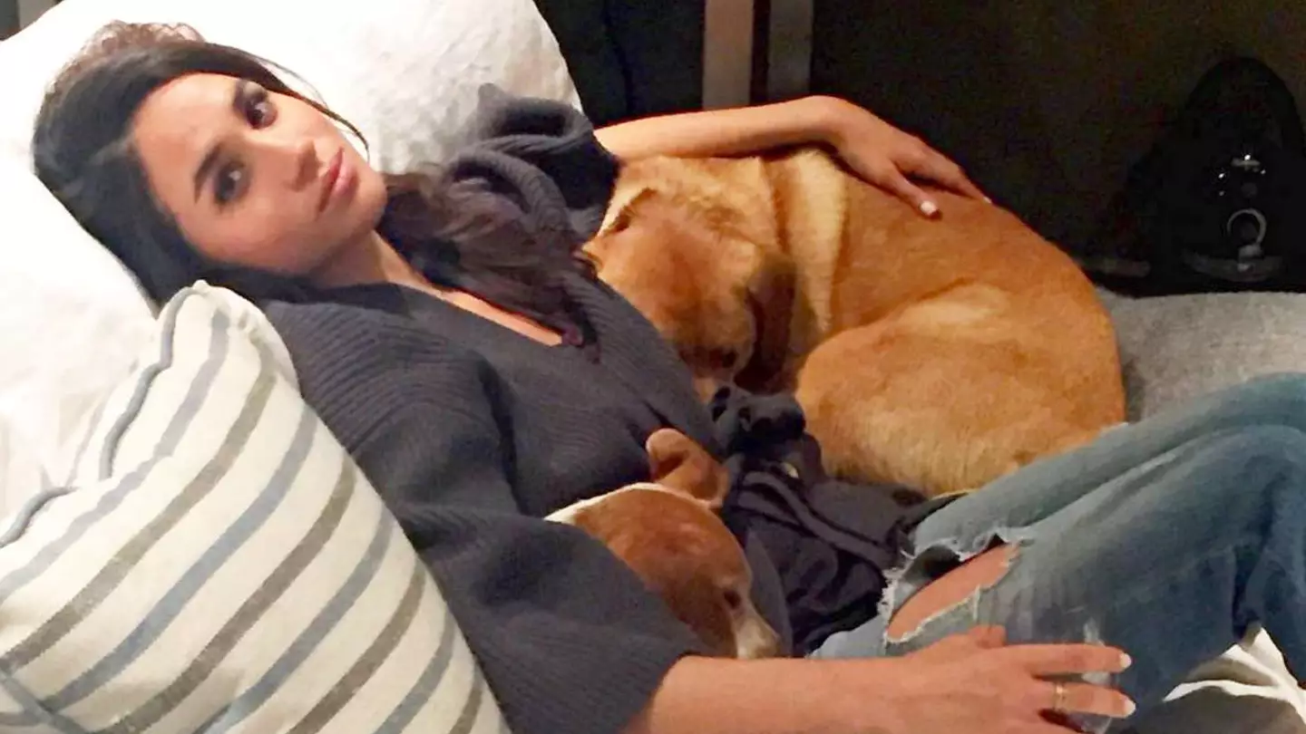 Meghan Markle opens up about her miscarriage and losing a child in rare comment