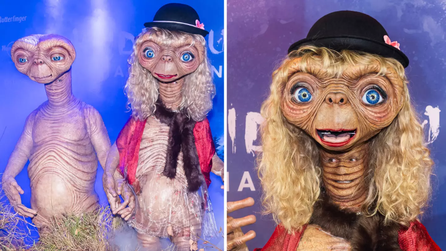 TheStewartofNY/WireImage