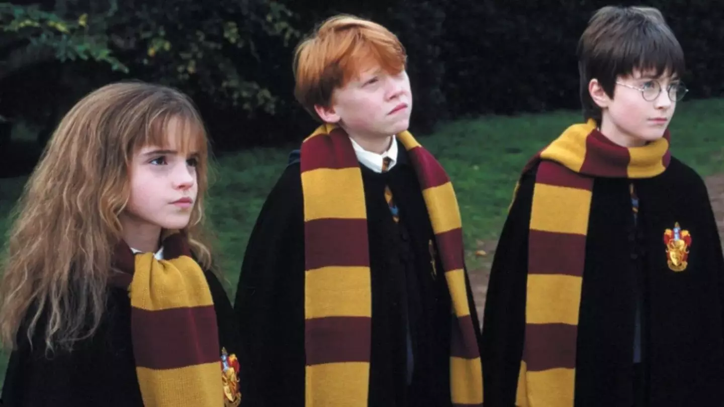 Applicants need to film two short videos for a chance to star in the series (Warner Bros.)