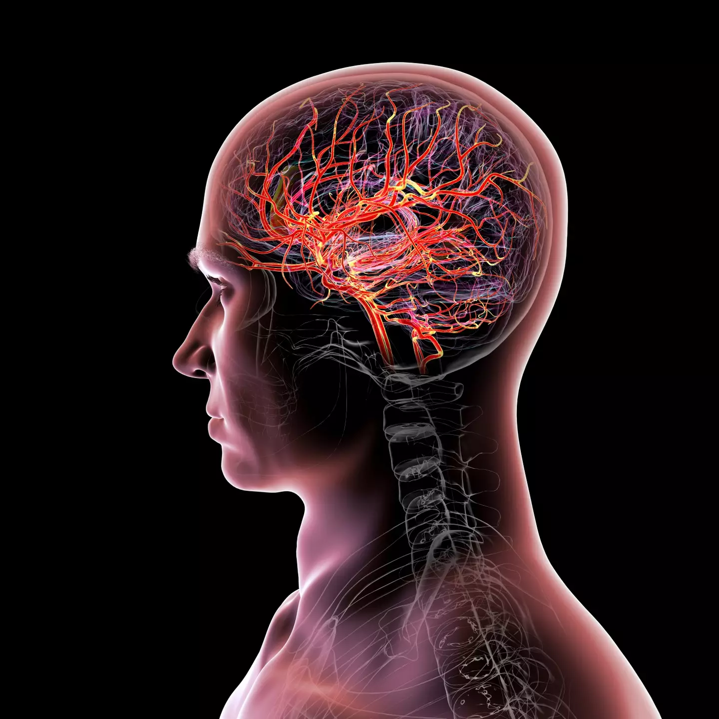 The ER medic explained what happened in the moments following the shooting (Getty Stock)