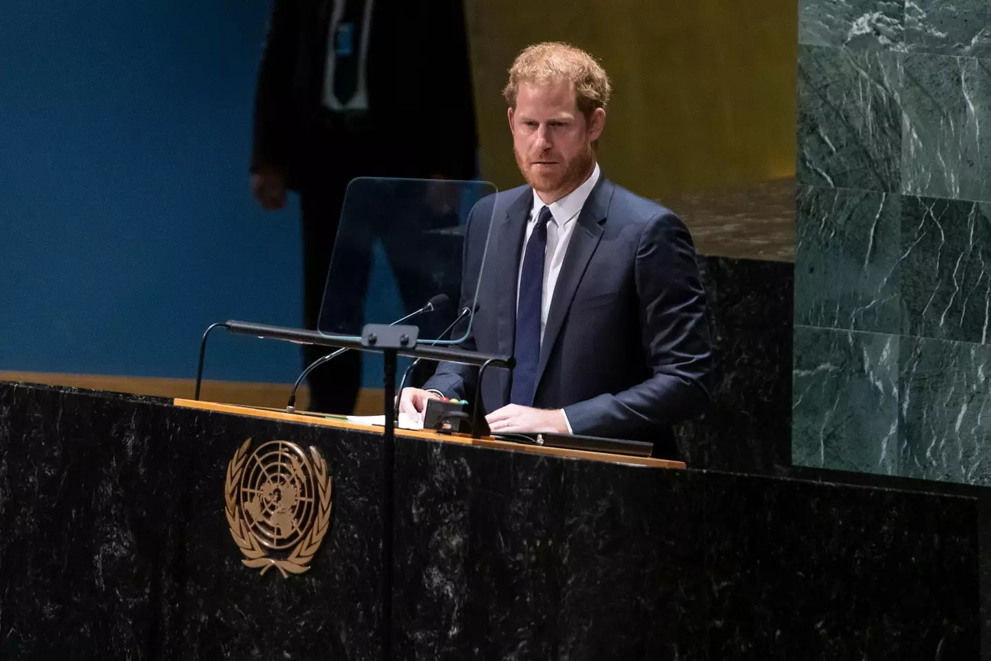 Prince Harry also addressed the UN last month.