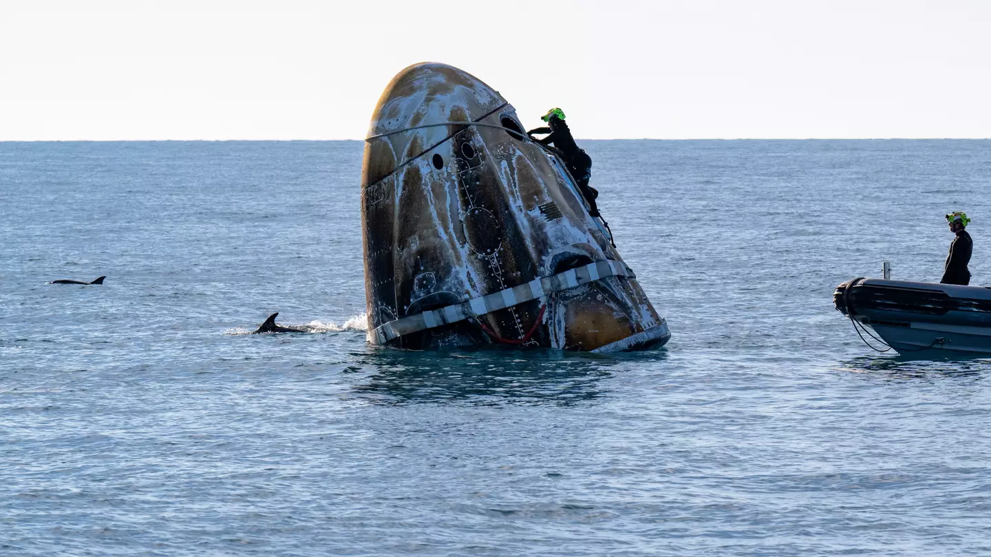 People point out ‘coolest thing ever’ about ‘stranded' NASA astronauts' landing back to Earth