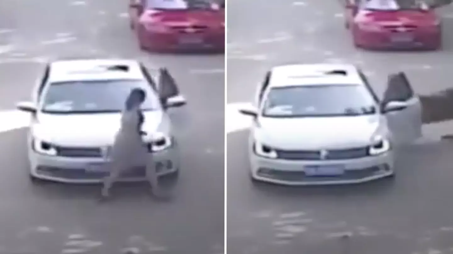 Terrifying final moments of a mother eaten alive by safari park tiger after trying to rescue daughter