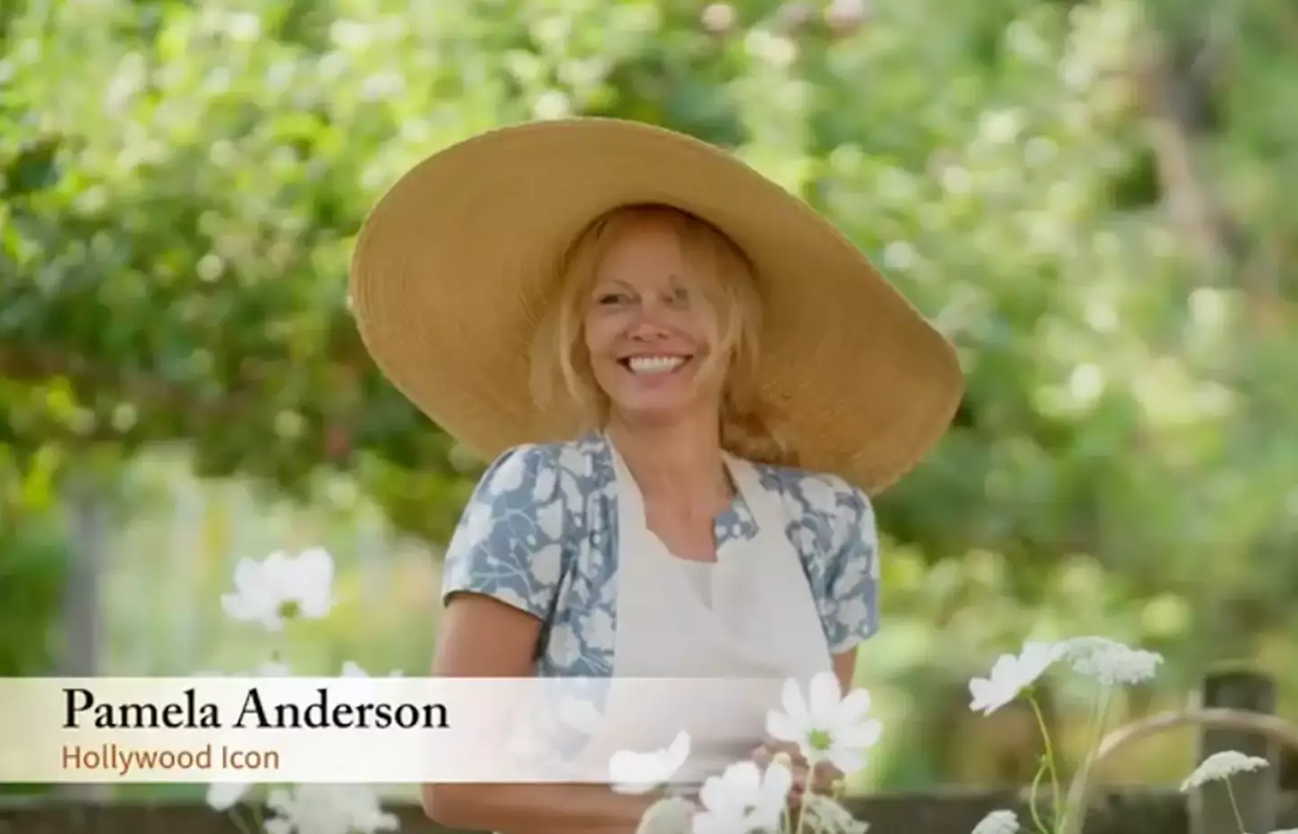 People have been pointing out the 'similarities' between the shows (Flavour Network)