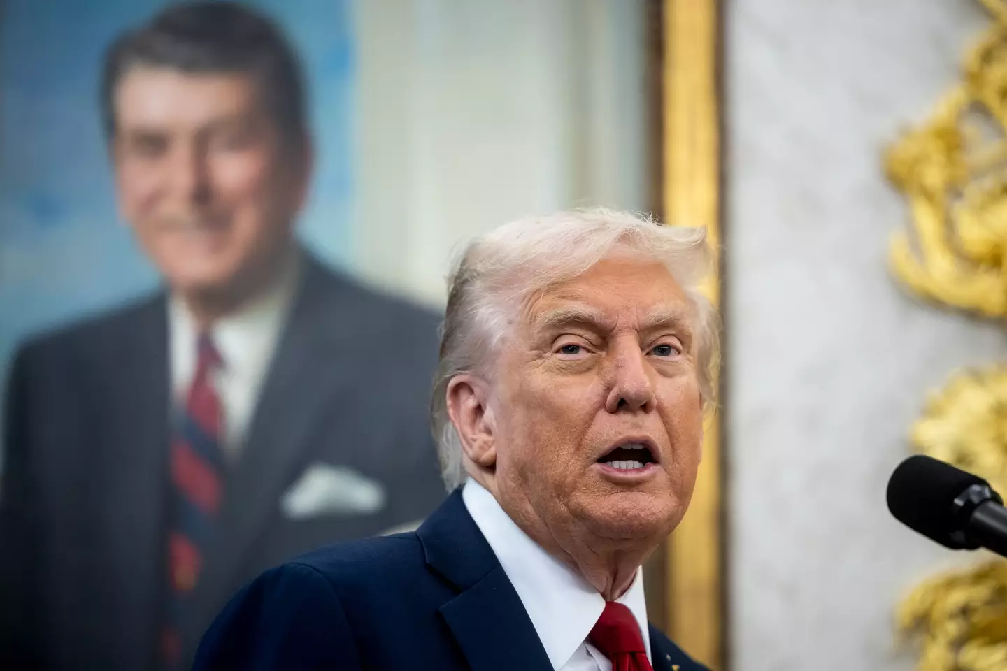 Donald Trump was far from happy that Jimmy Kimmel Live! was put back on the air (Francis Chung/Politico/Bloomberg via Getty Images)