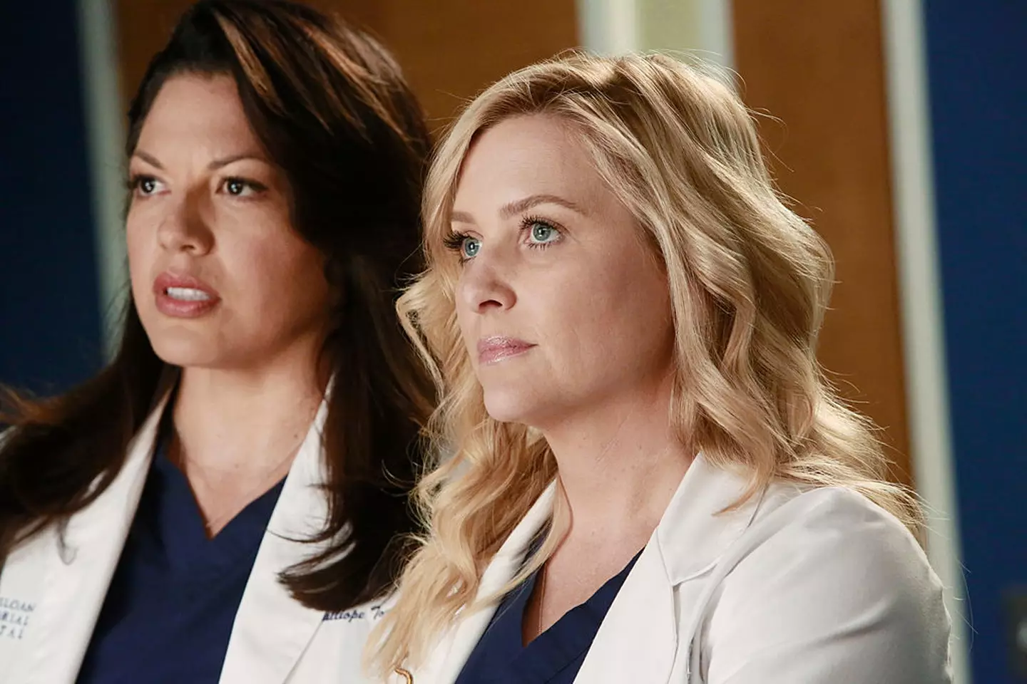 Arizona was involved in a plane crash (Ron Tom/Disney General Entertainment Content via Getty Image)