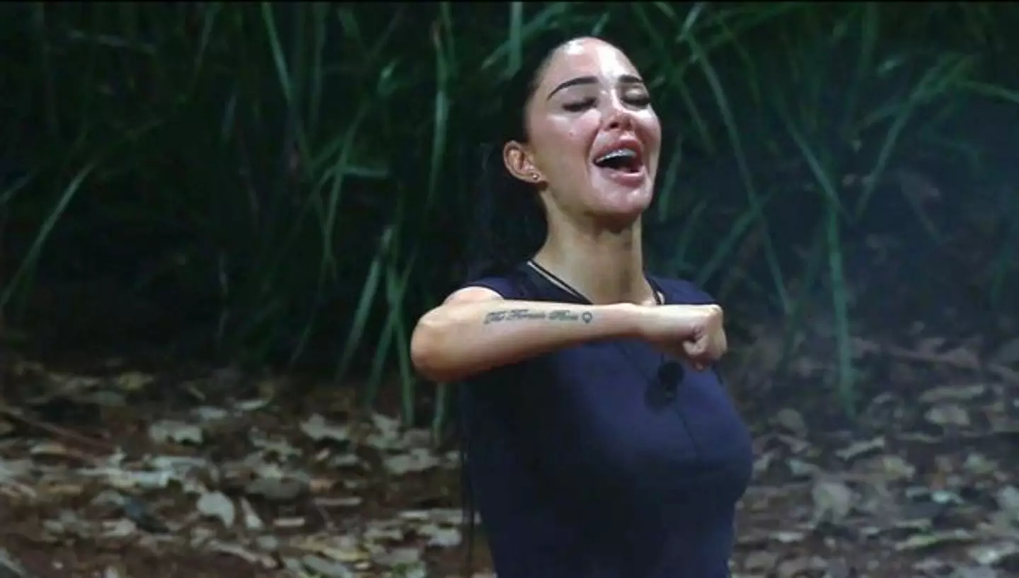 Tulisa entered the I'm A Celeb jungle alongside her nine fellow camp mates on Sunday (ITV)