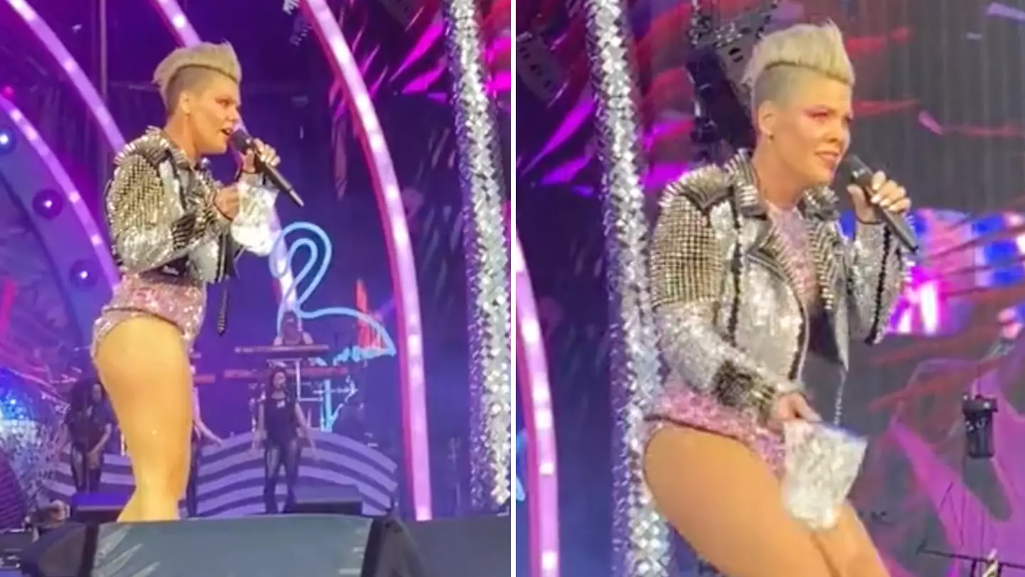 Pink fan throws mum's ashes on stage leaving singer stunned
