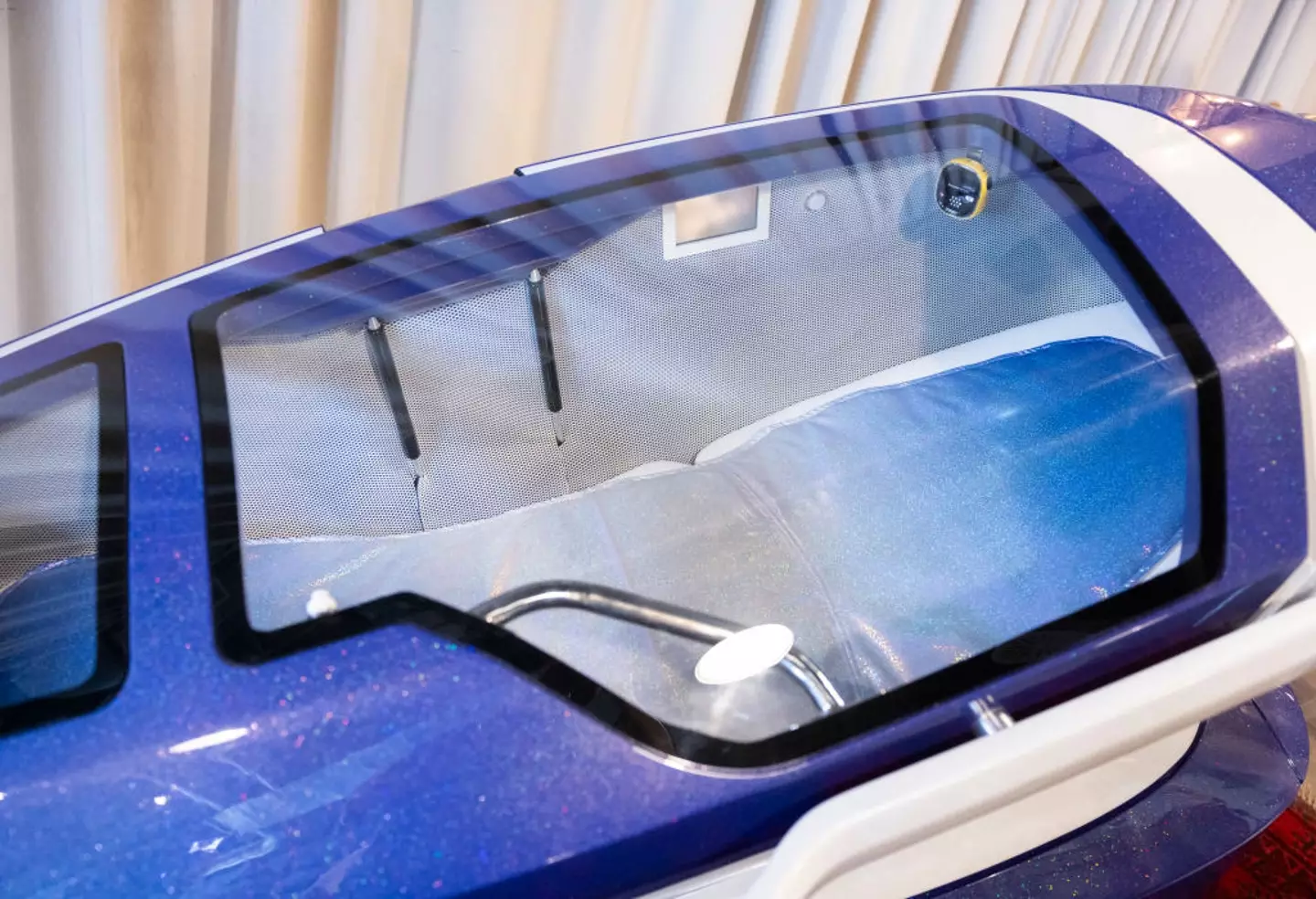 Death is caused by the Sarco pods filling with nitrogen (ARND WIEGMANN/AFP via Getty Images)