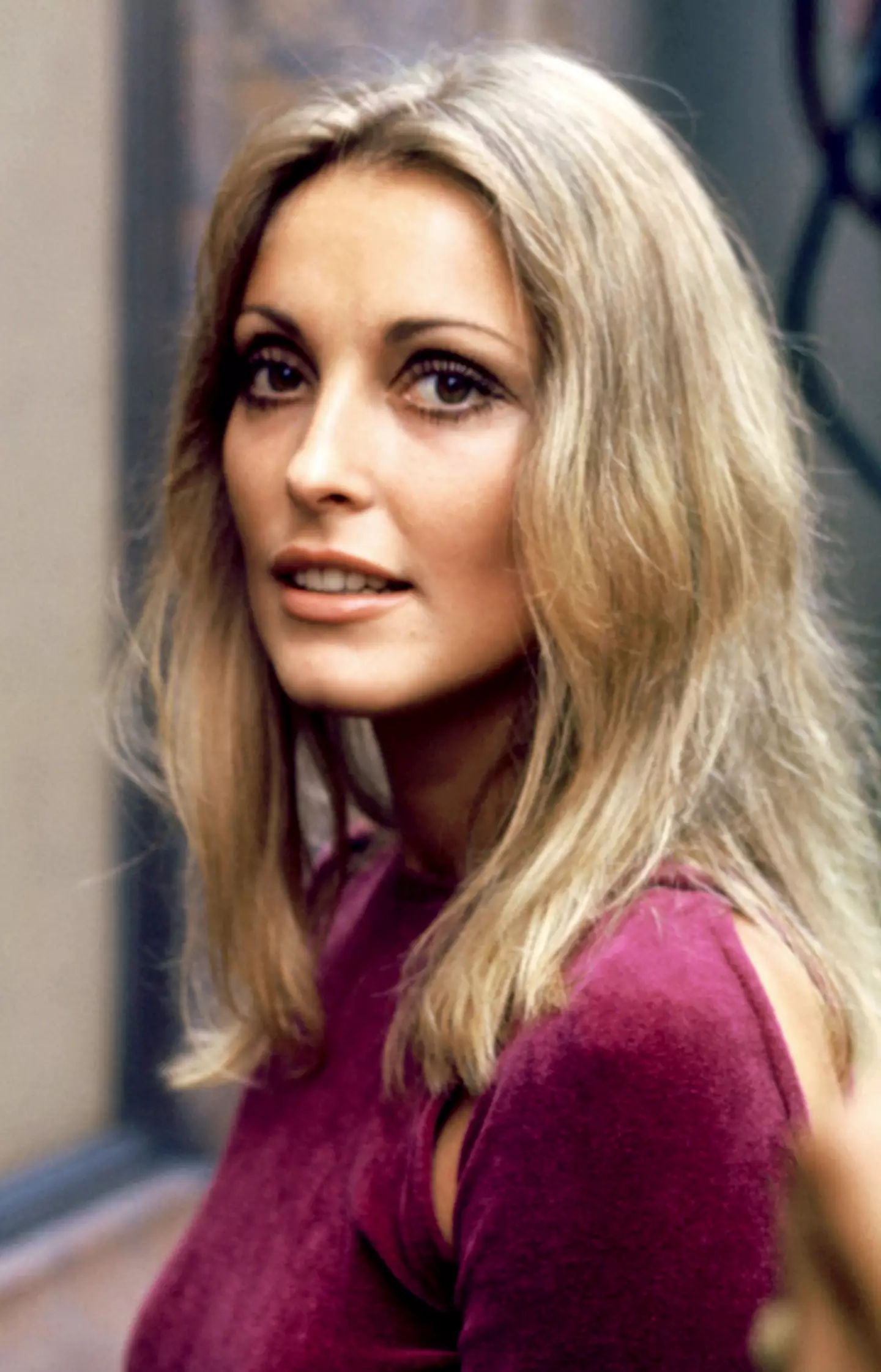 Sharon Tate was brutally murdered by the Manson Family cult in 1969, aged just 26 (TPLP / Contributor / via Getty)