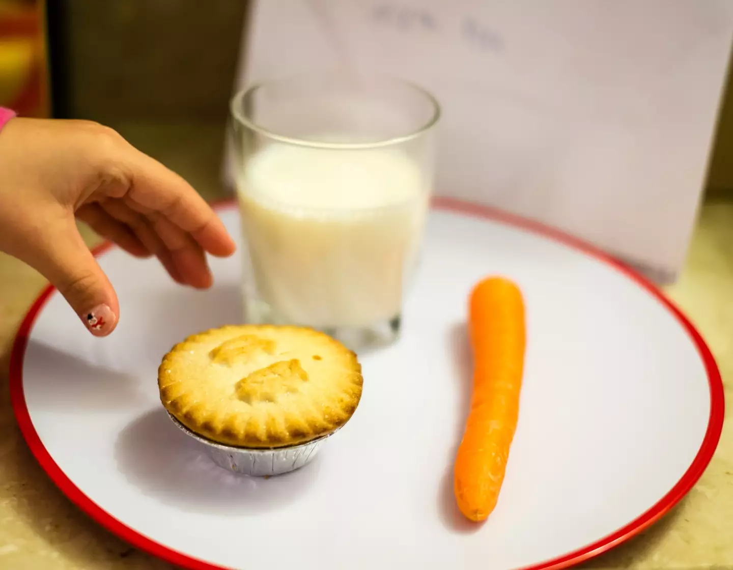 Leaving out treats for Santa and Rudolph is a tradition for many families (Getty Stock Image)