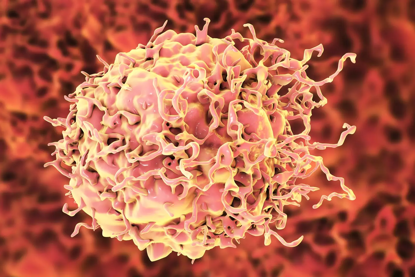 Scientists examined the DNA of nearly 1,000 tumours (Getty Stock Photo)