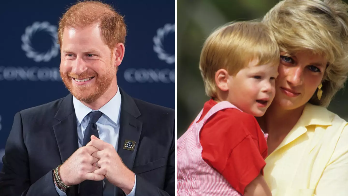Prince Harry makes heartfelt speech about Princess Diana after following in her footsteps