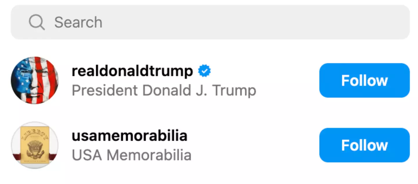 Melania is following two accounts (Instagram)