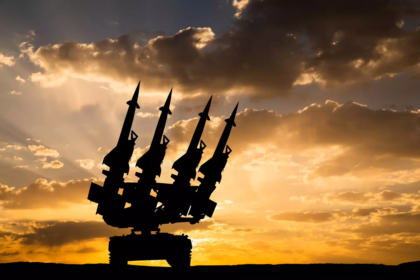 Salomé predicted a cyber war (Anton Petrus/Getty)