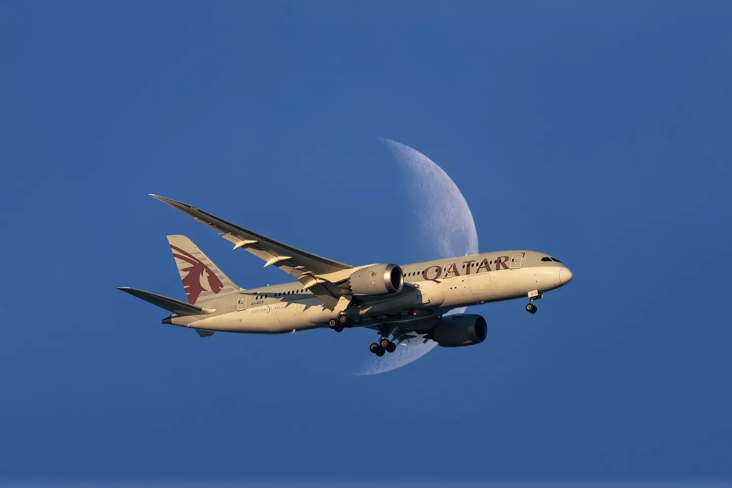 'Strict vegetarian' man Asoka Jayaweera allegedly died after choking to death on a non-vegetarian meal during a Qatar Airways flight in 2023 (hasan zaidi / Getty Images)