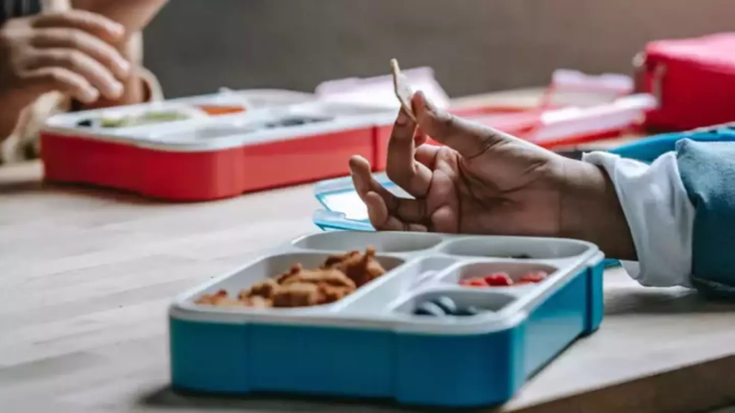 A mum has asked for someone to 'enlighten' her on what's wrong with her child's lunchbox.