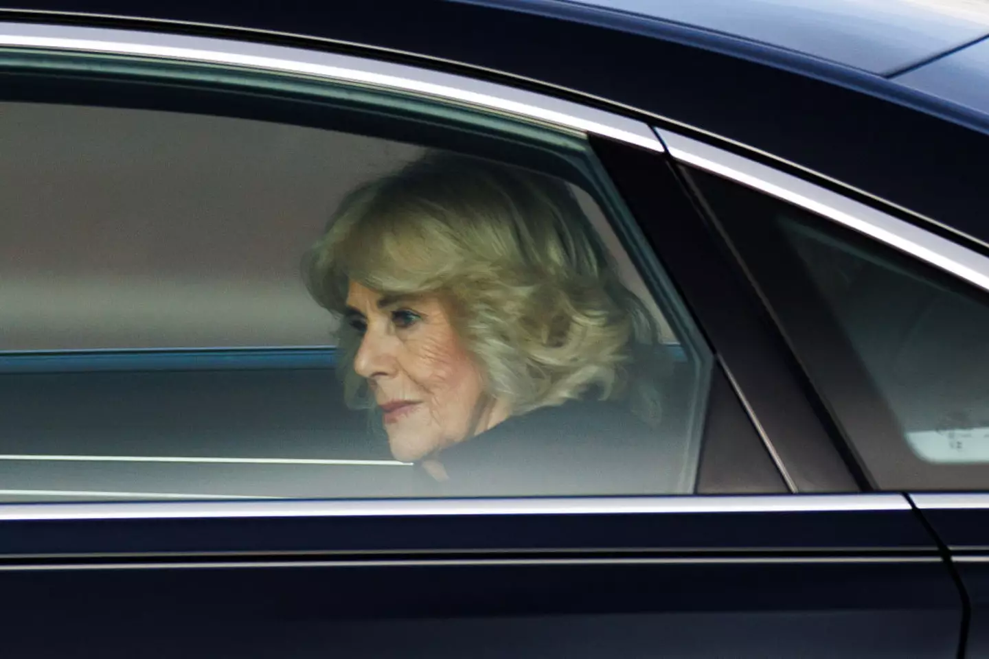 Camilla is recovering from a chest infection (Dan Kitwood/Getty Images)