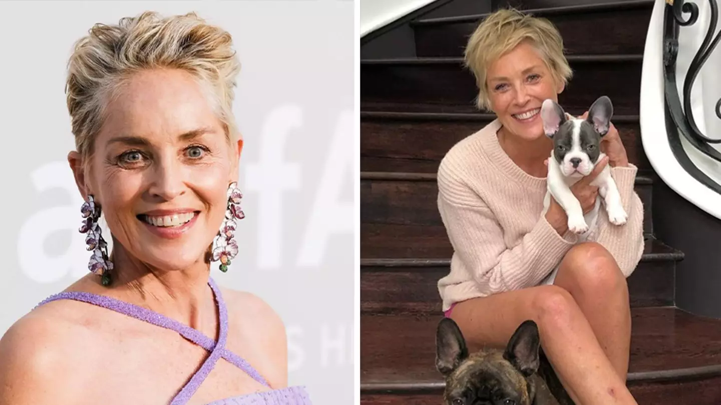Sharon Stone Reveals She Has Had 9 Miscarriages In Powerful Statement
