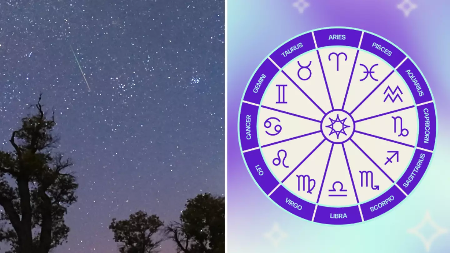 Three star signs that are most affected by last night's meteor shower