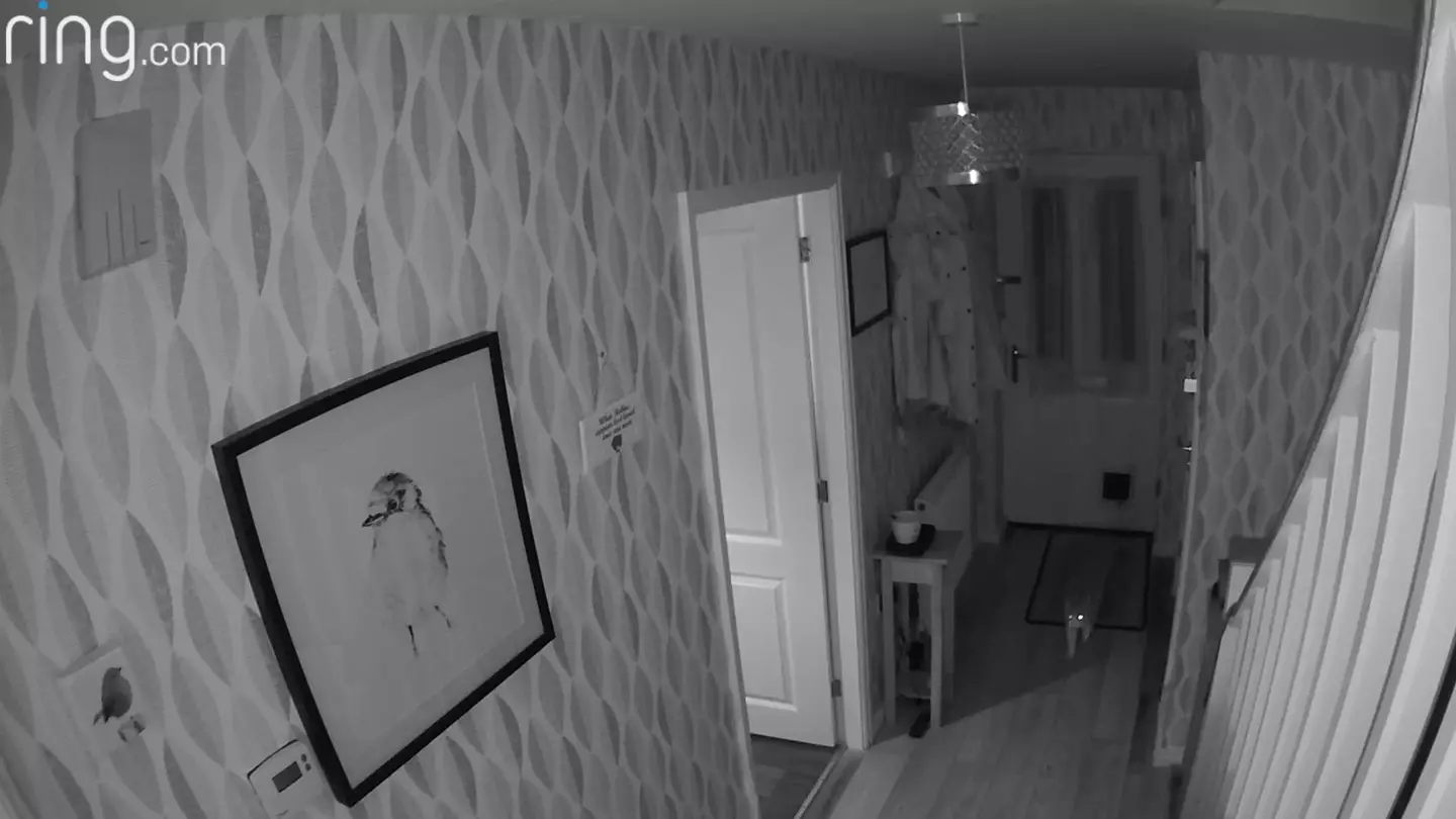 Arthur makes sure to announce himself every time he comes home. (