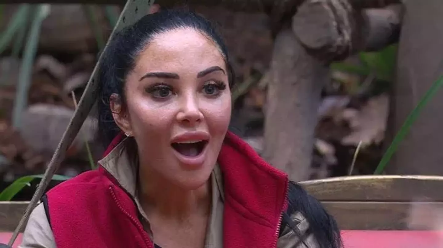 Tulisa has questioned whether she wants to be famous (ITV)
