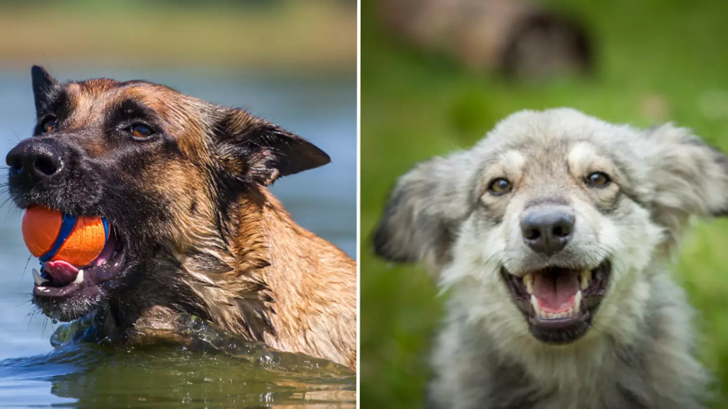 Yurii Zorkin / STERKL / Alamy Stock Photo