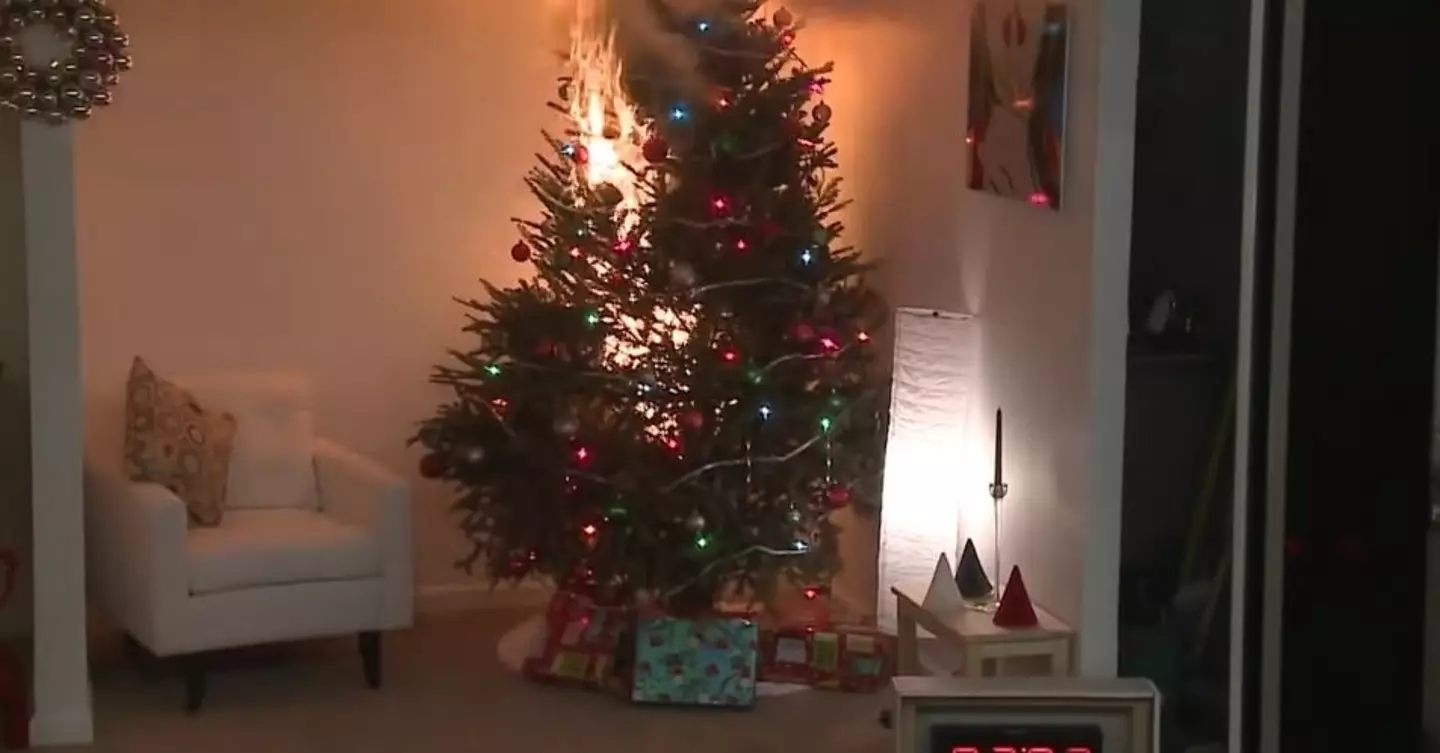 The video shows just how fast a Christmas tree can go up in flames. (