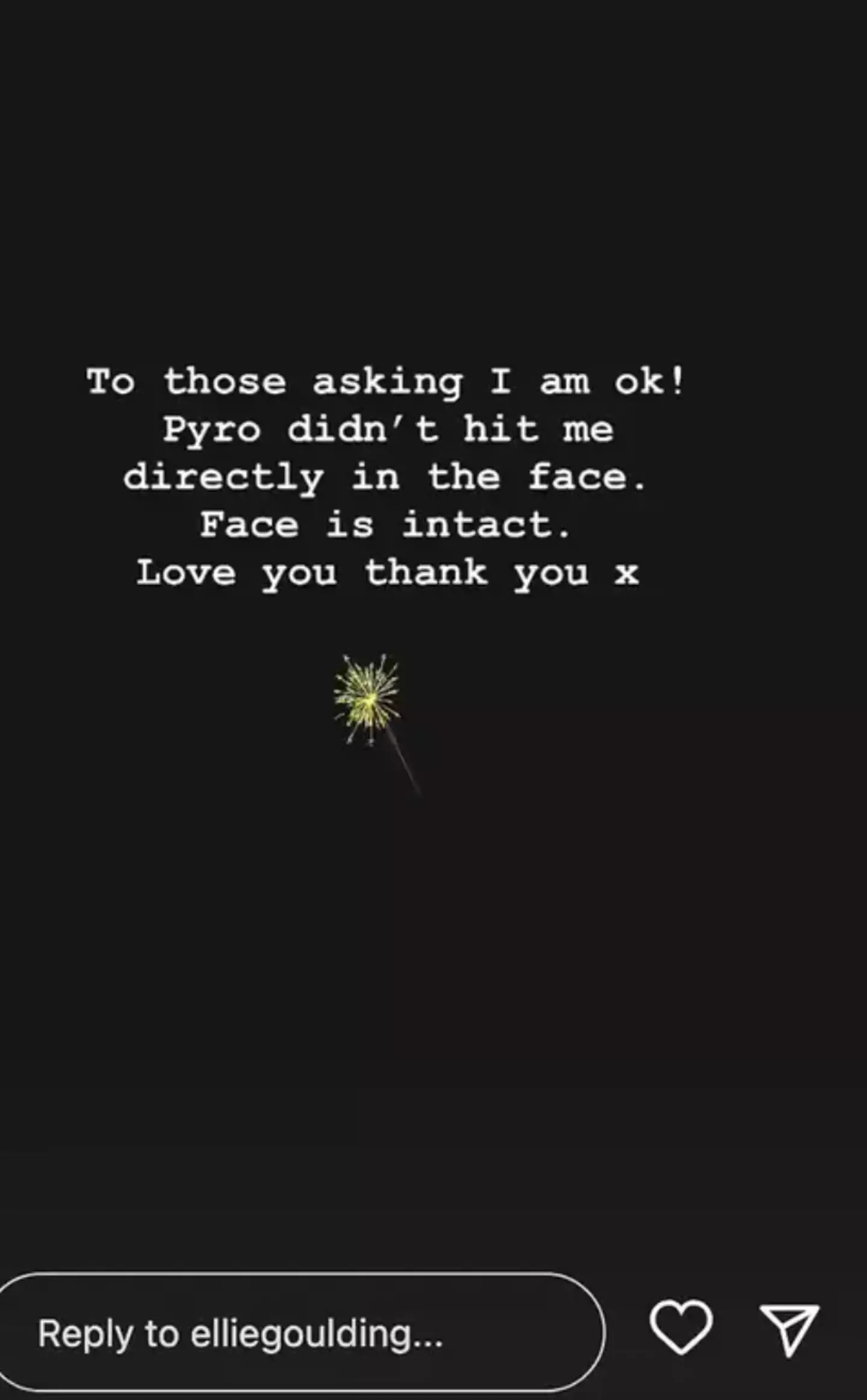 Ellie updated fans on Instagram.