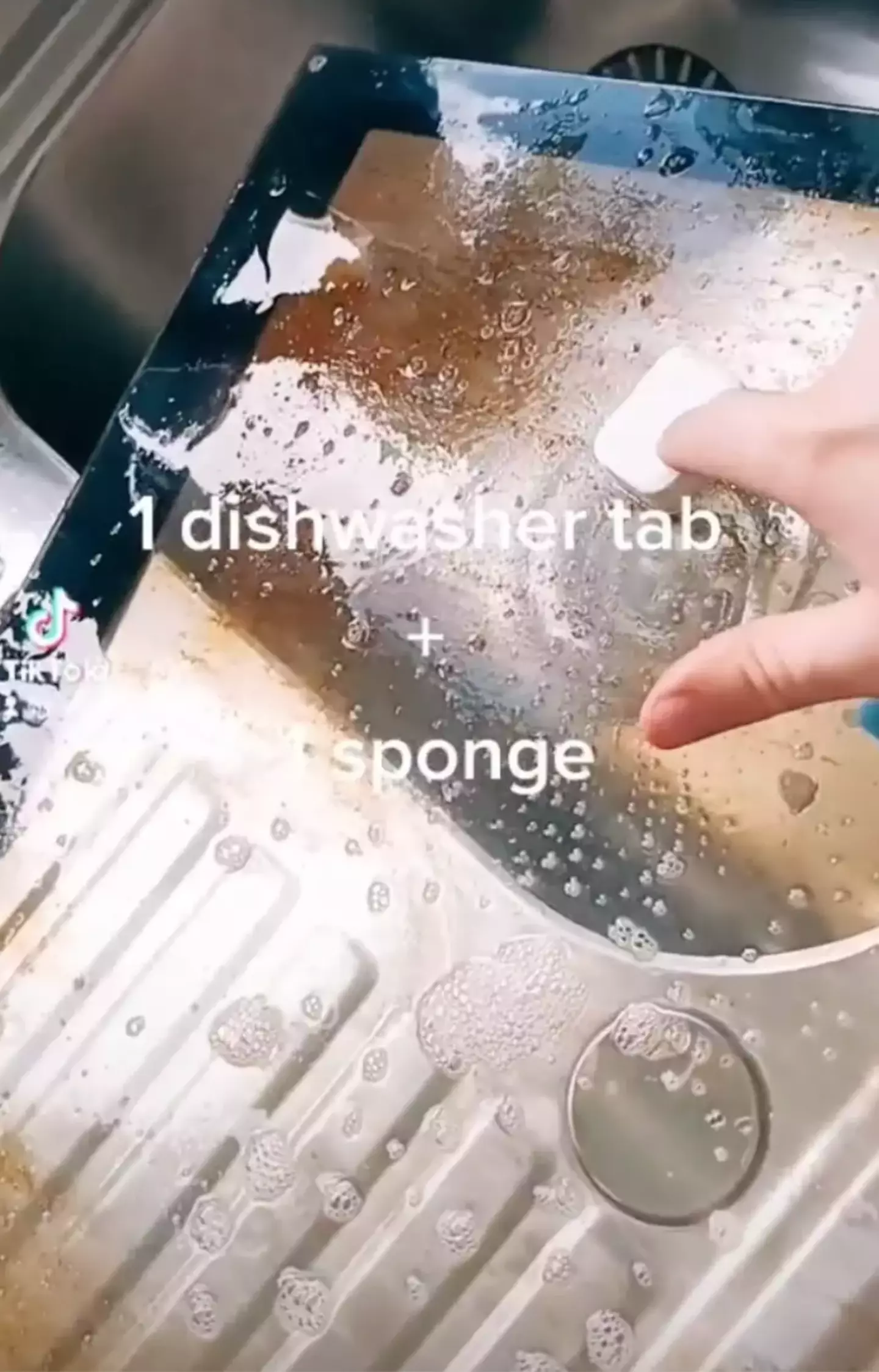 You just need a dishwasher tablet and sponge.