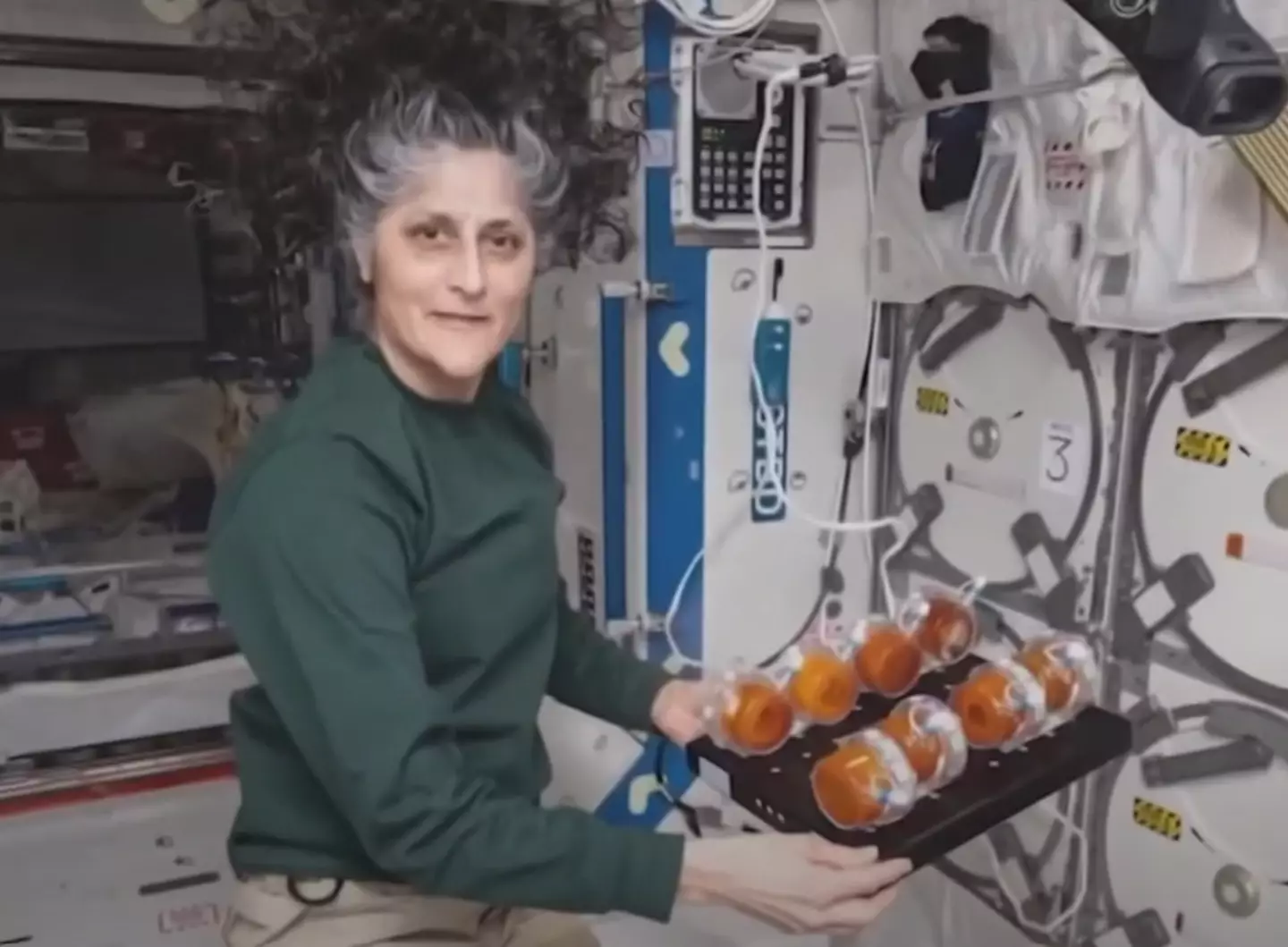 The family of Sunita 'Suni' Williams have opened up about the distance between them (NASA)