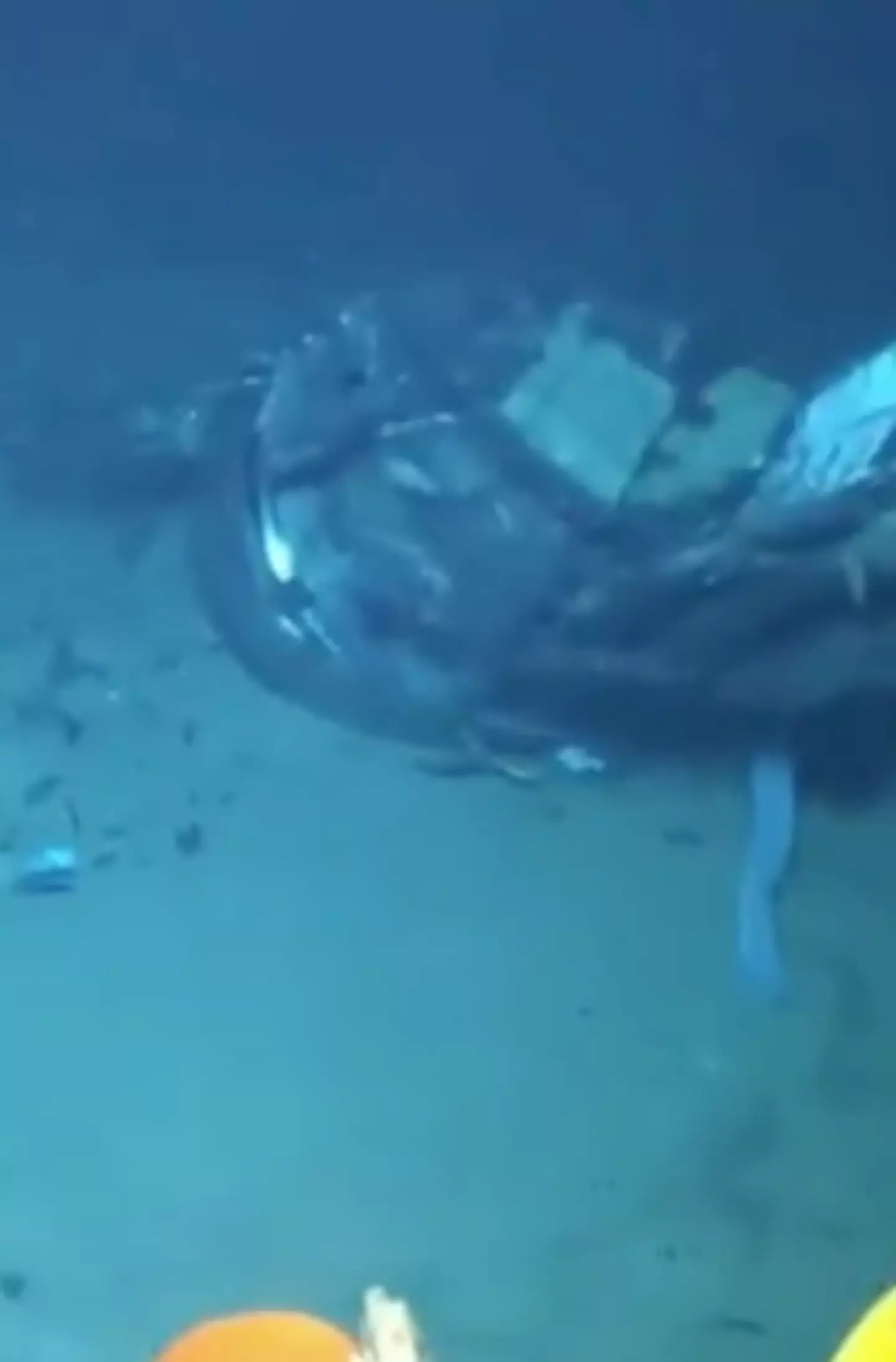 The remains found included the hull and pieces of the sub. (US National Coastguard)