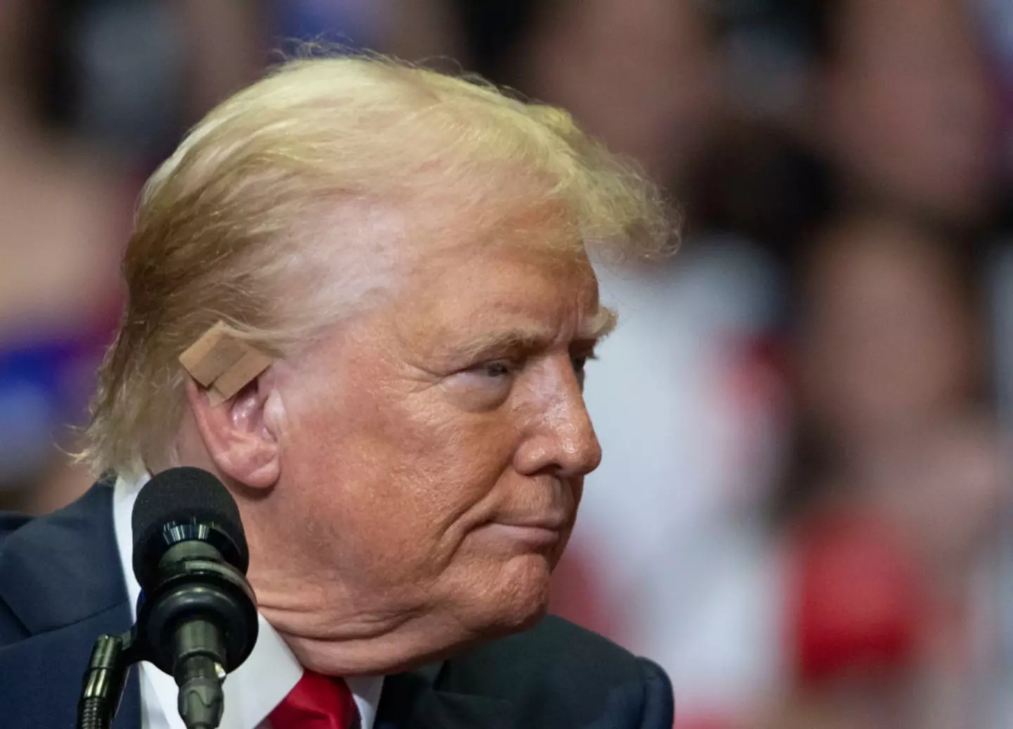 Dr Suzanne Wiley has pretty much shut down the conspiracy and explained why (Bill Pugliano / Getty Images)