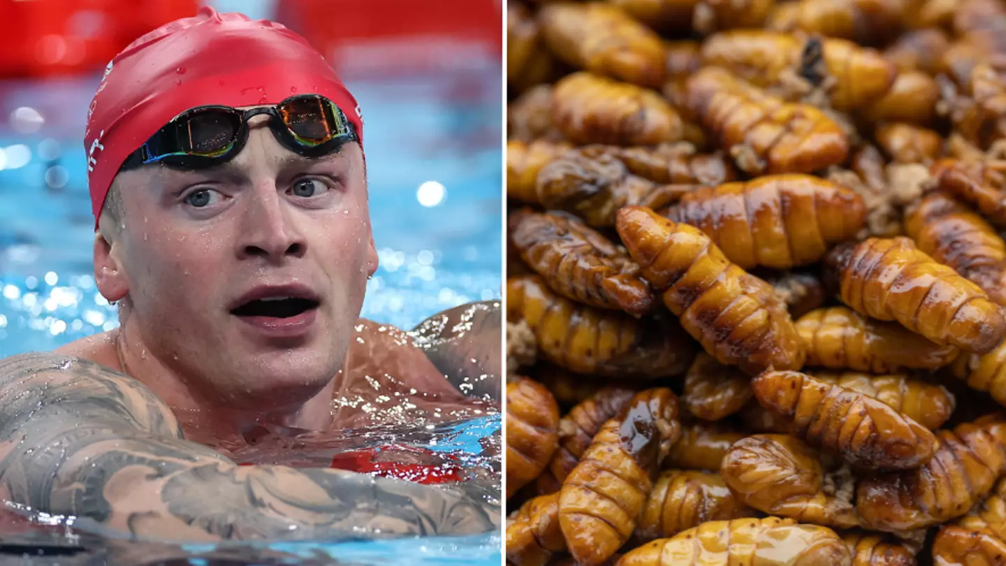 Quinn Rooney/Getty Images/Getty Stock Image