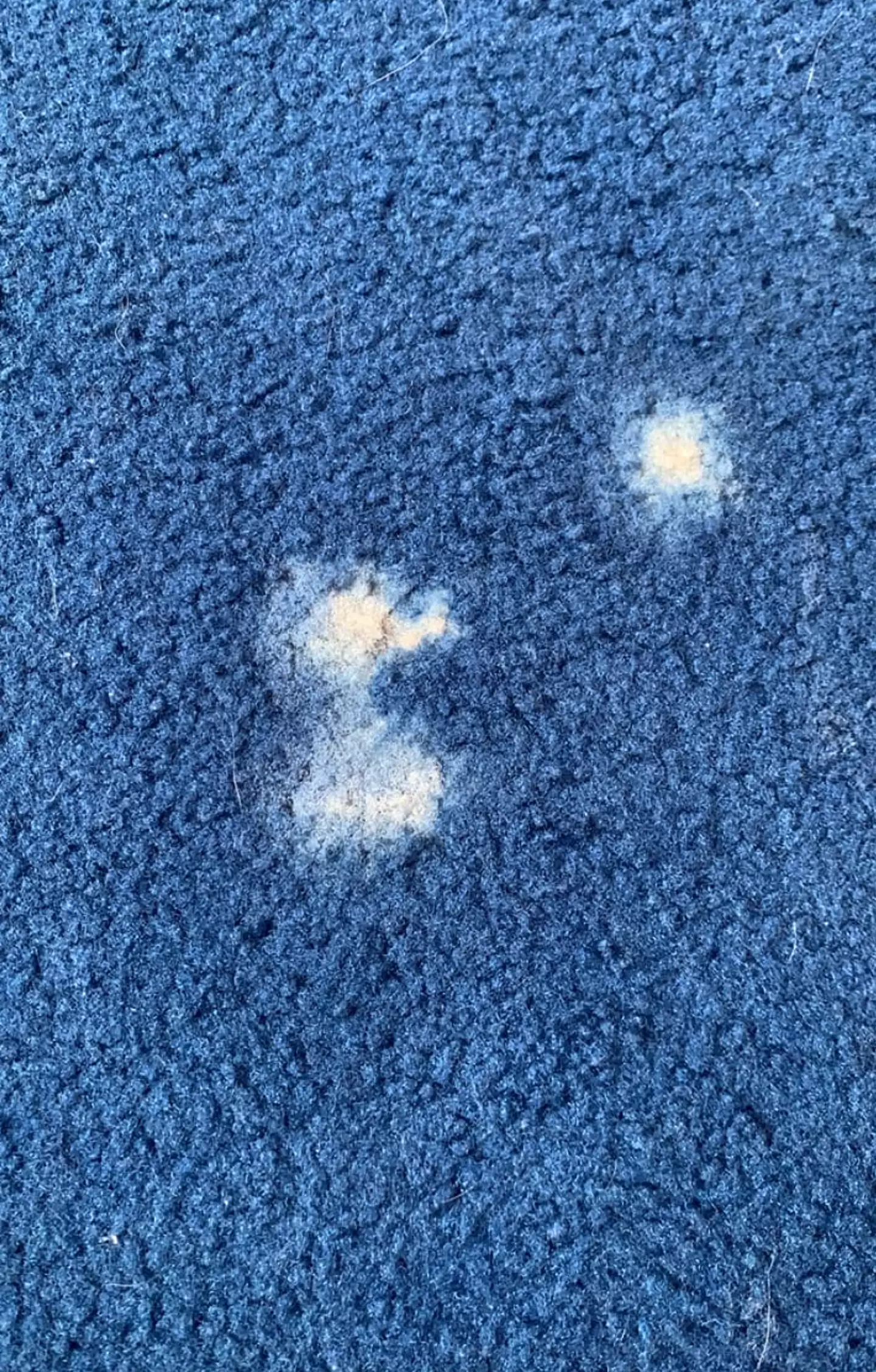 A bleached carpet.
