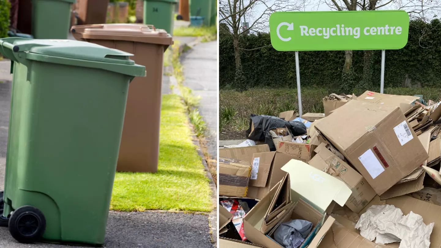 Major changes coming to bin collections for every home in England