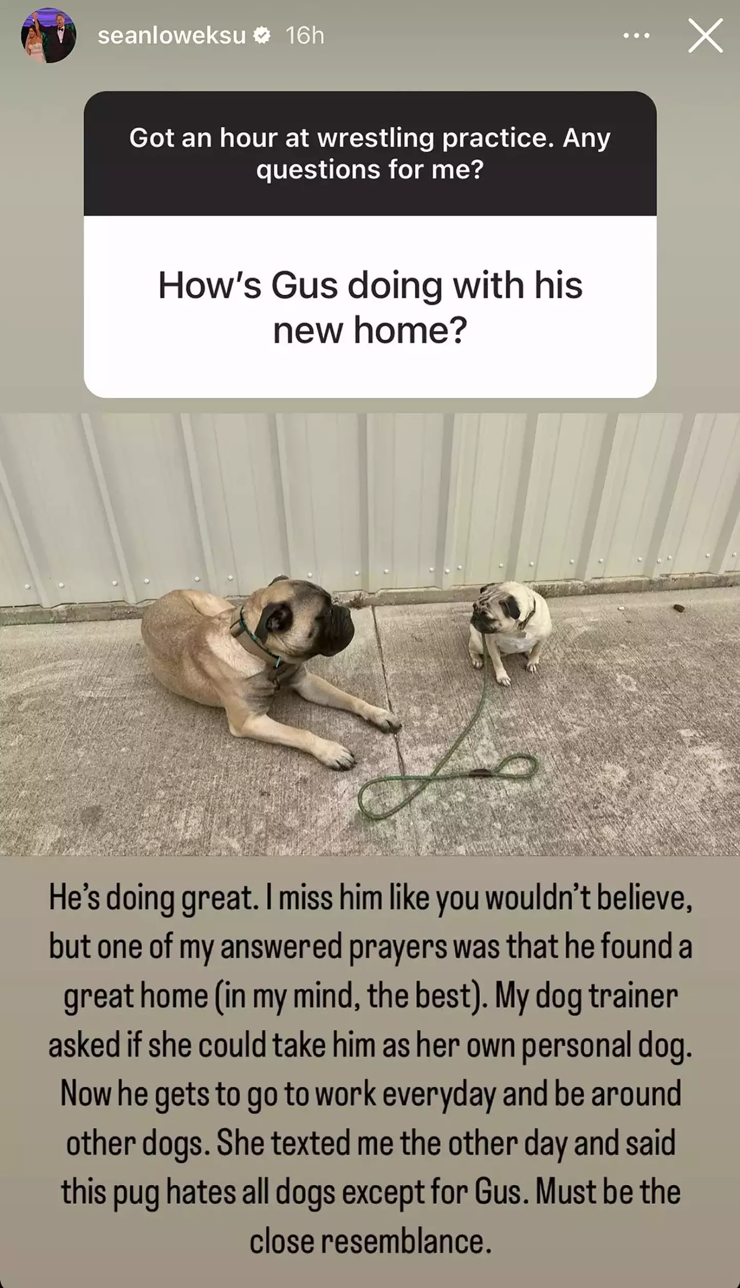 Gus the dog is doing well, too.