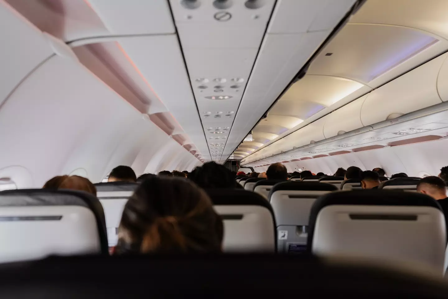 The dirtiest part of a plane has been revealed.