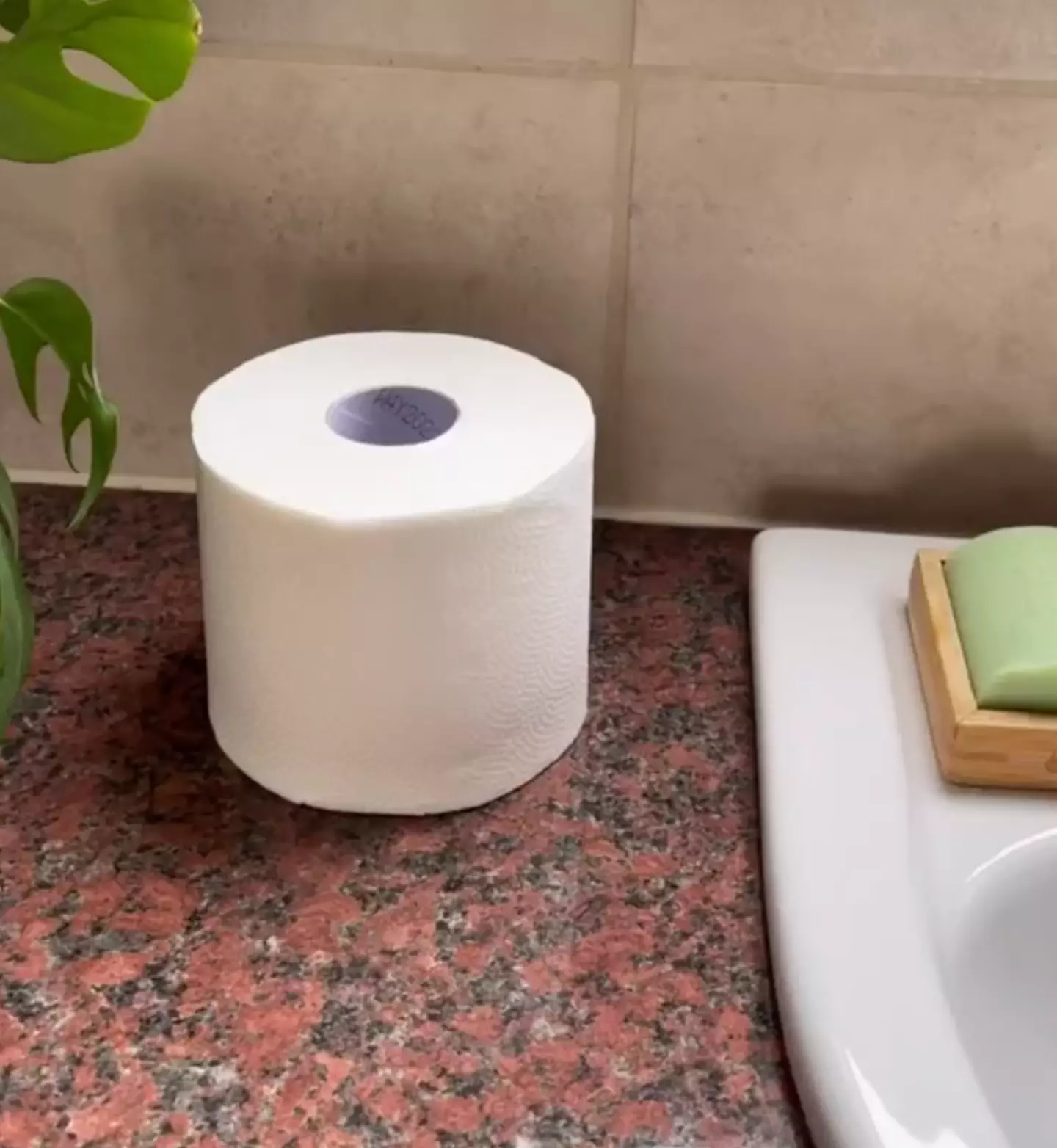 One mum revealed she saved £70 by simply switching from loo roll to resuable toilet paper.