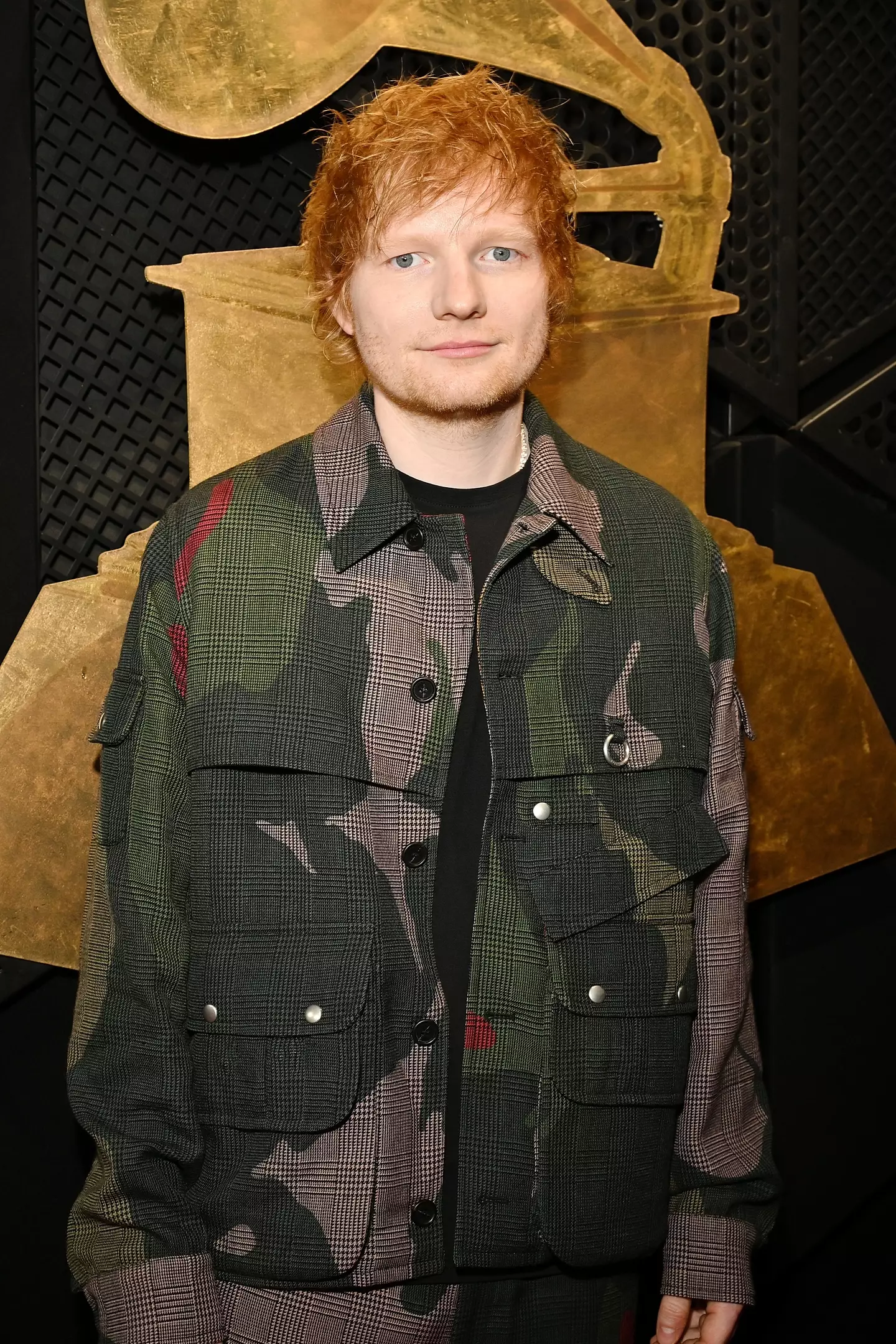 Ed Sheeran called for people to 'be kind' (Lester Cohen/Getty Images for The Recording Academy)
