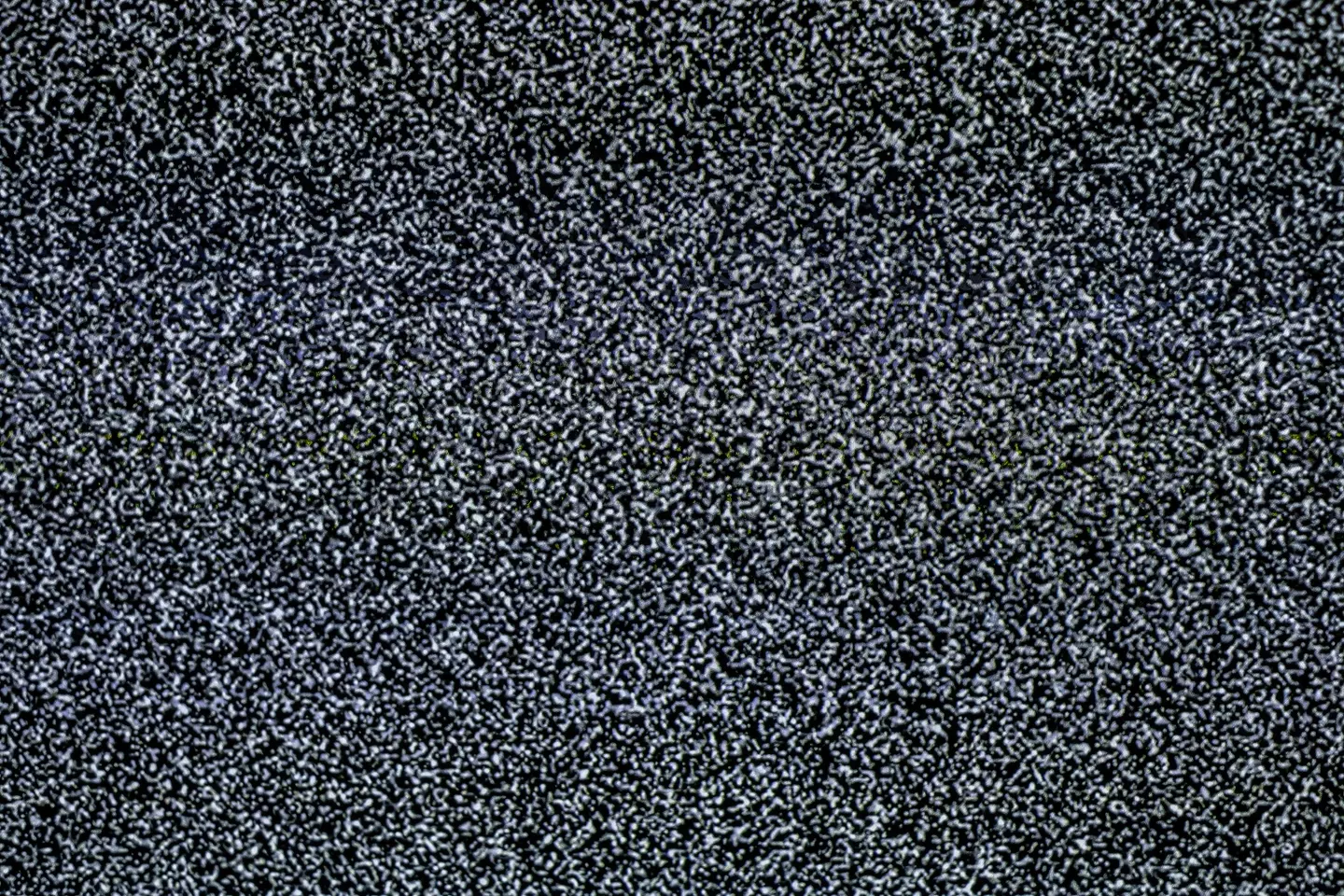 I think we can all agree it feels a bit like this (Jackal Pan/Getty stock photo)