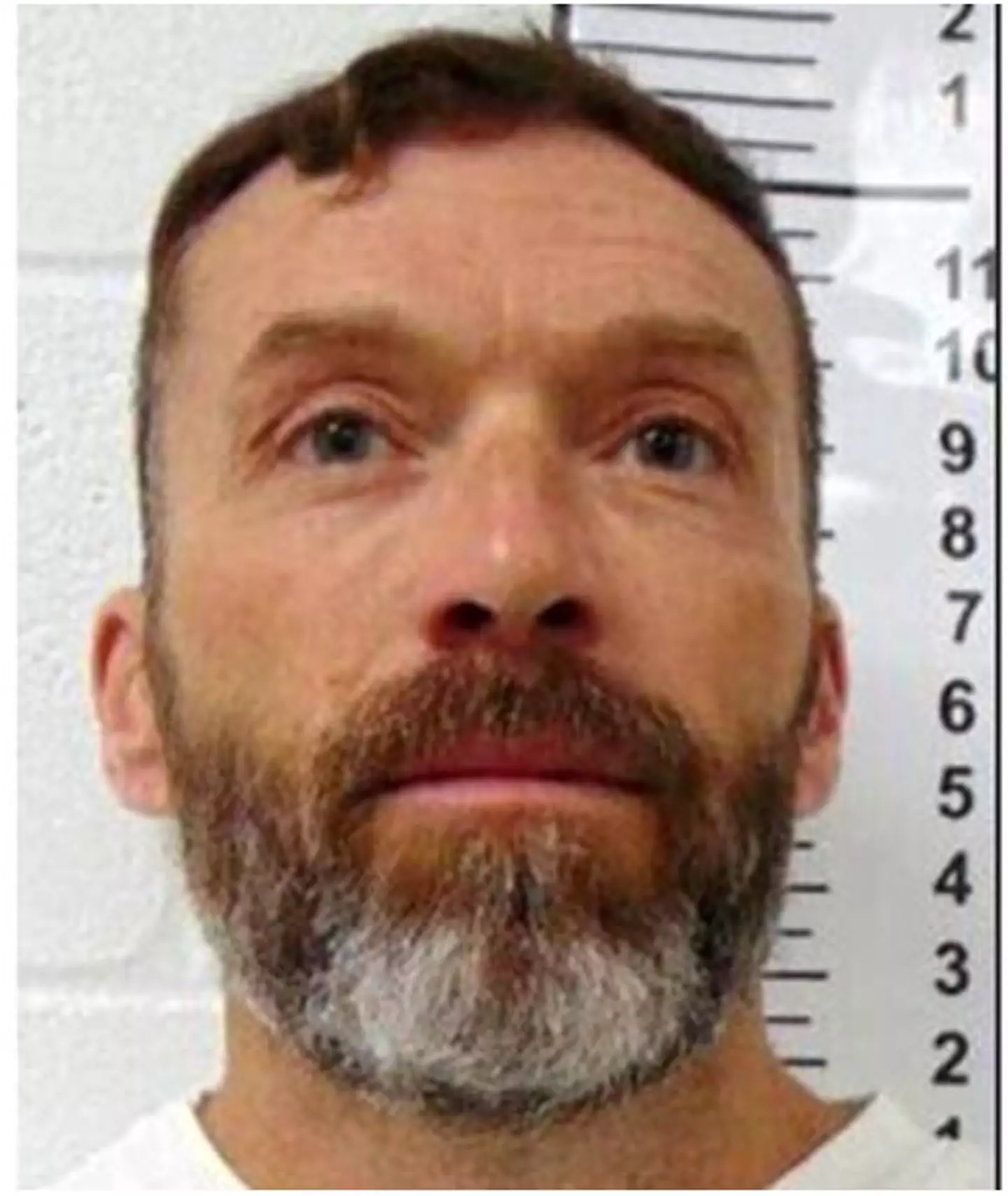Shockley said he would see his loved ones 'again' right before receiving the lethal injection (Missouri Department of Corrections via AP News)