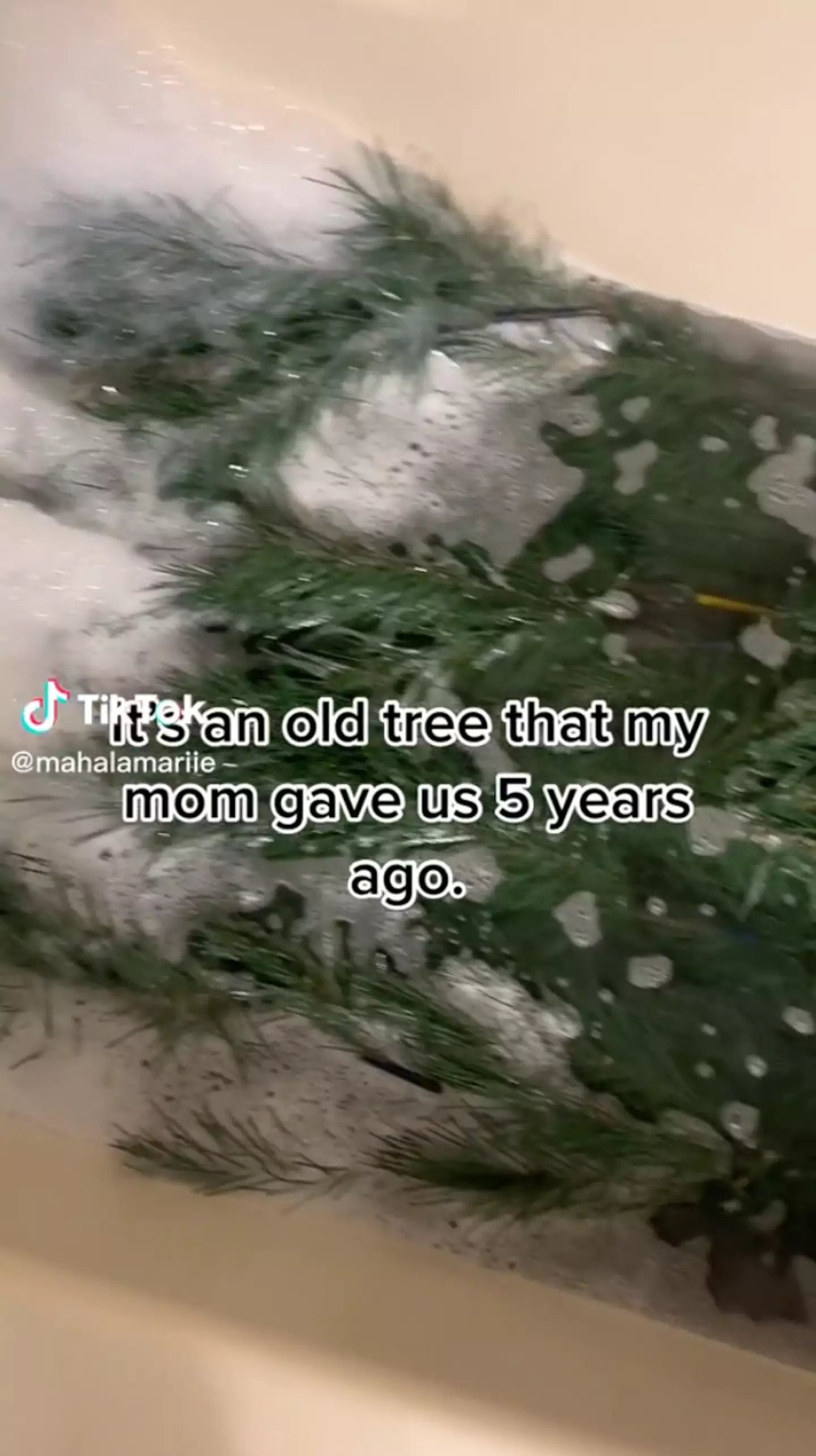 A woman decide to wash her Christmas tree.