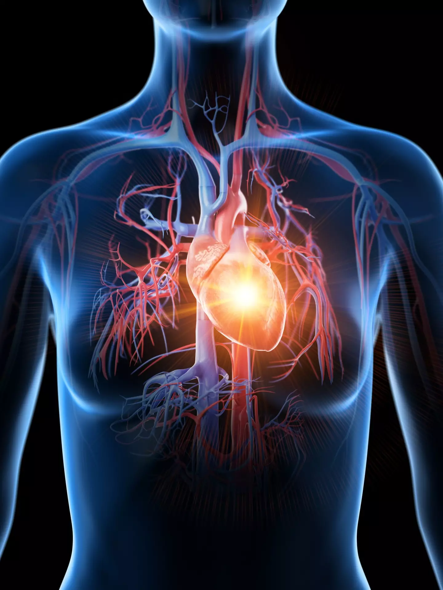 Symptoms of a 'silent heart attack' include indigestion and flu-like symptoms (SEBASTIAN KAULITZKI/SCIENCE PHOTO LIBRARY / Getty Images)