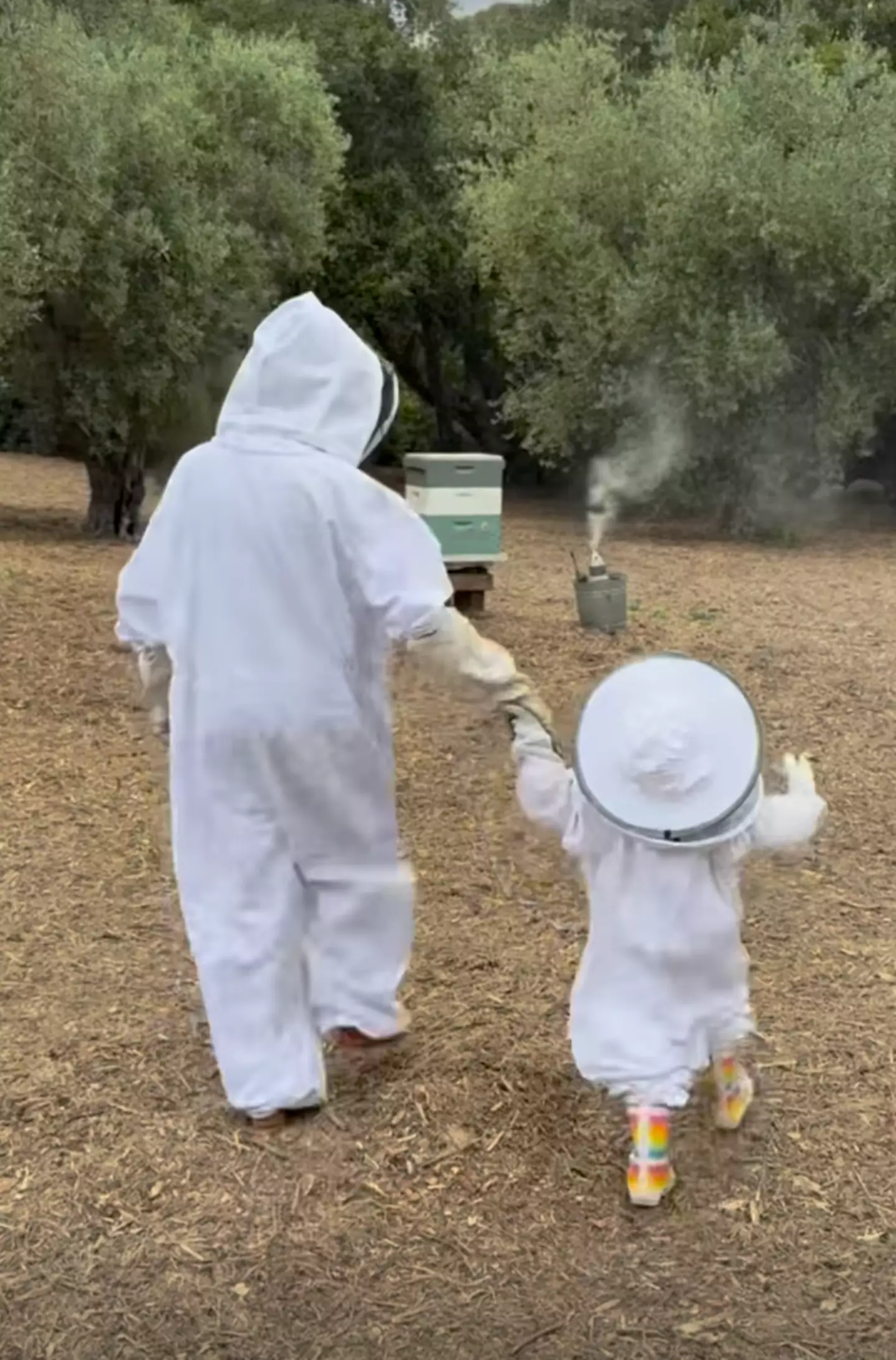 Critics have suggested that Meghan used a stand-in for her last video of Lilibet (Instagram/@meghan)