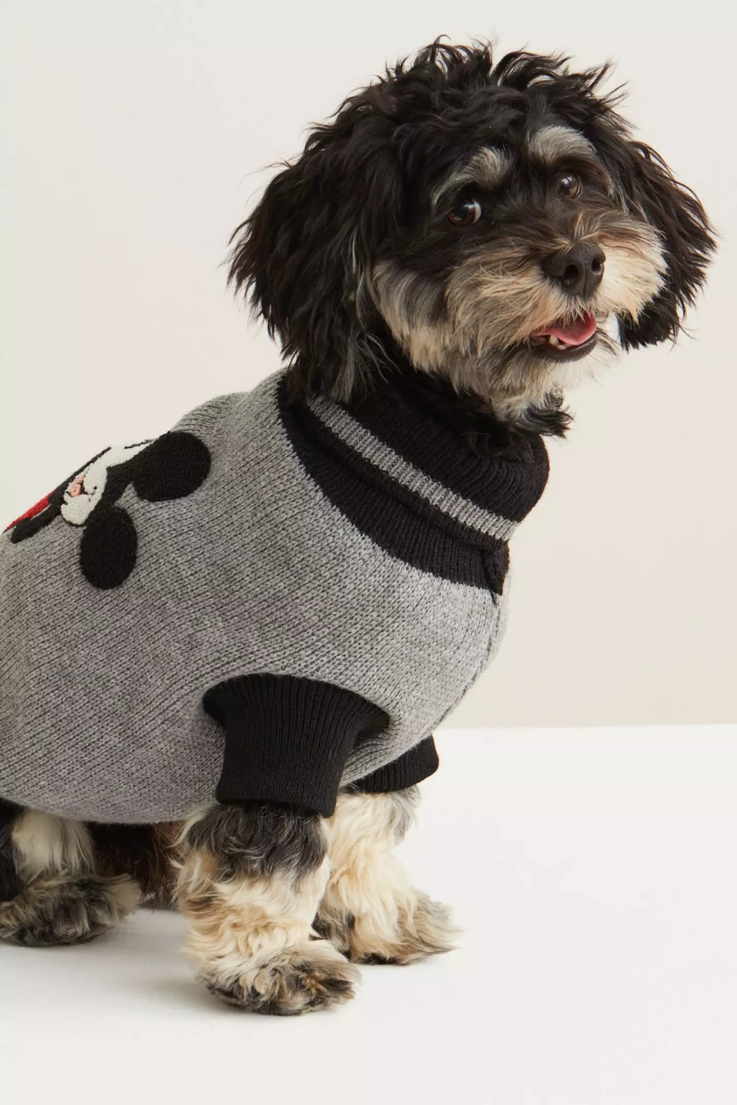 Disney dog clothing line online