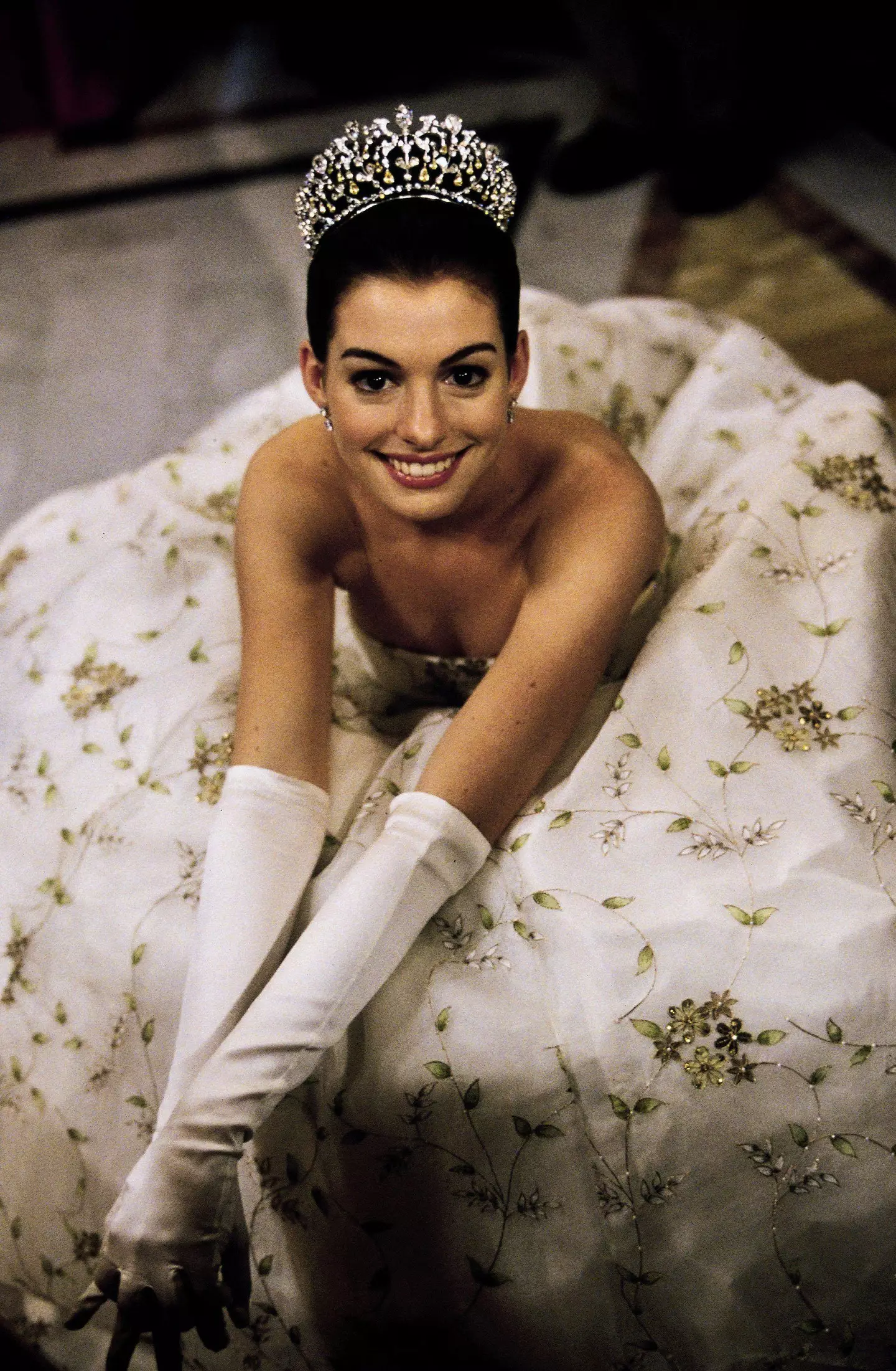 She first shot to fame in the Princess Diaries (