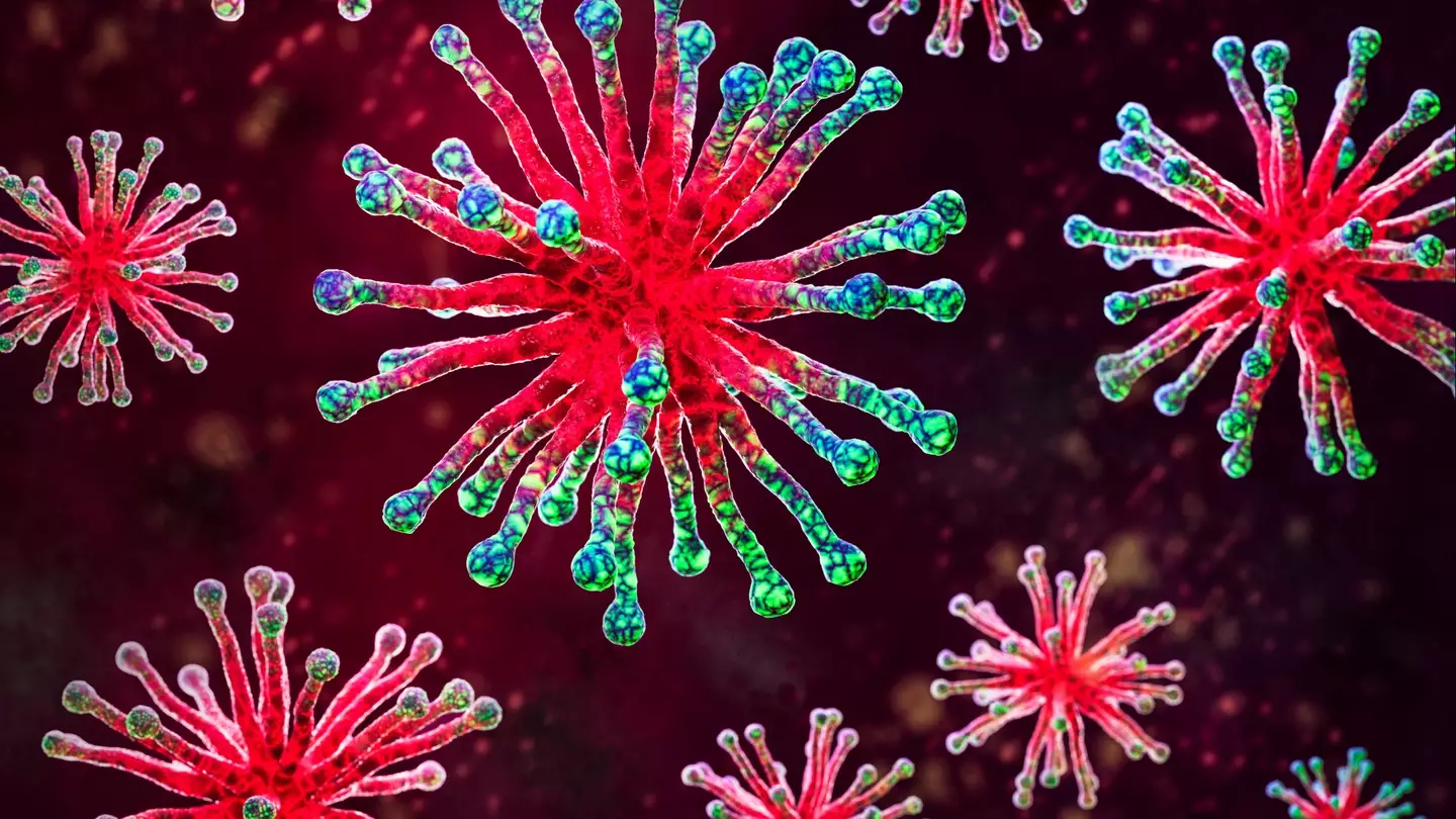 Third US resident tests positive for human plague as health officials issue warning